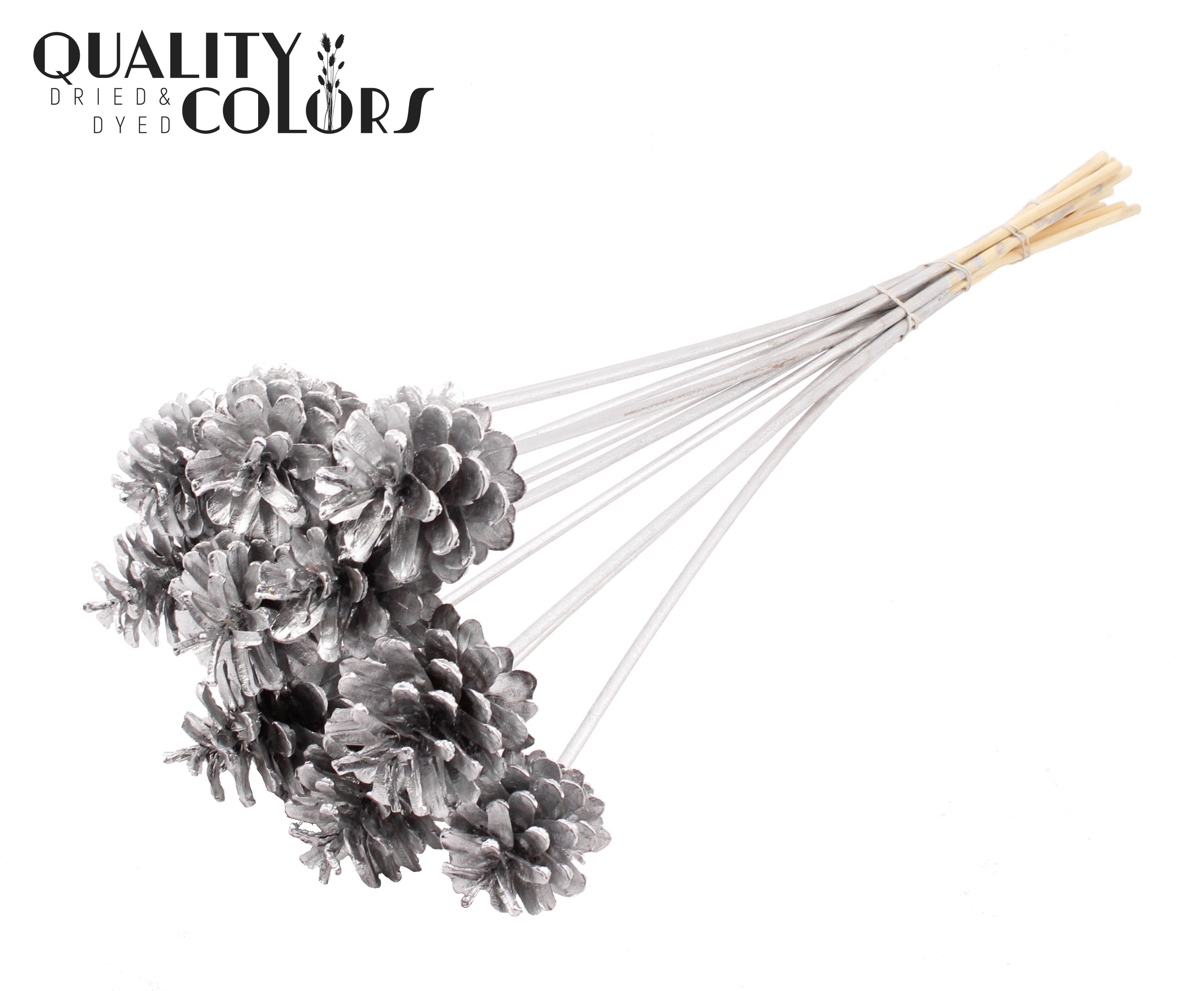Pine Cone Silver 50cm