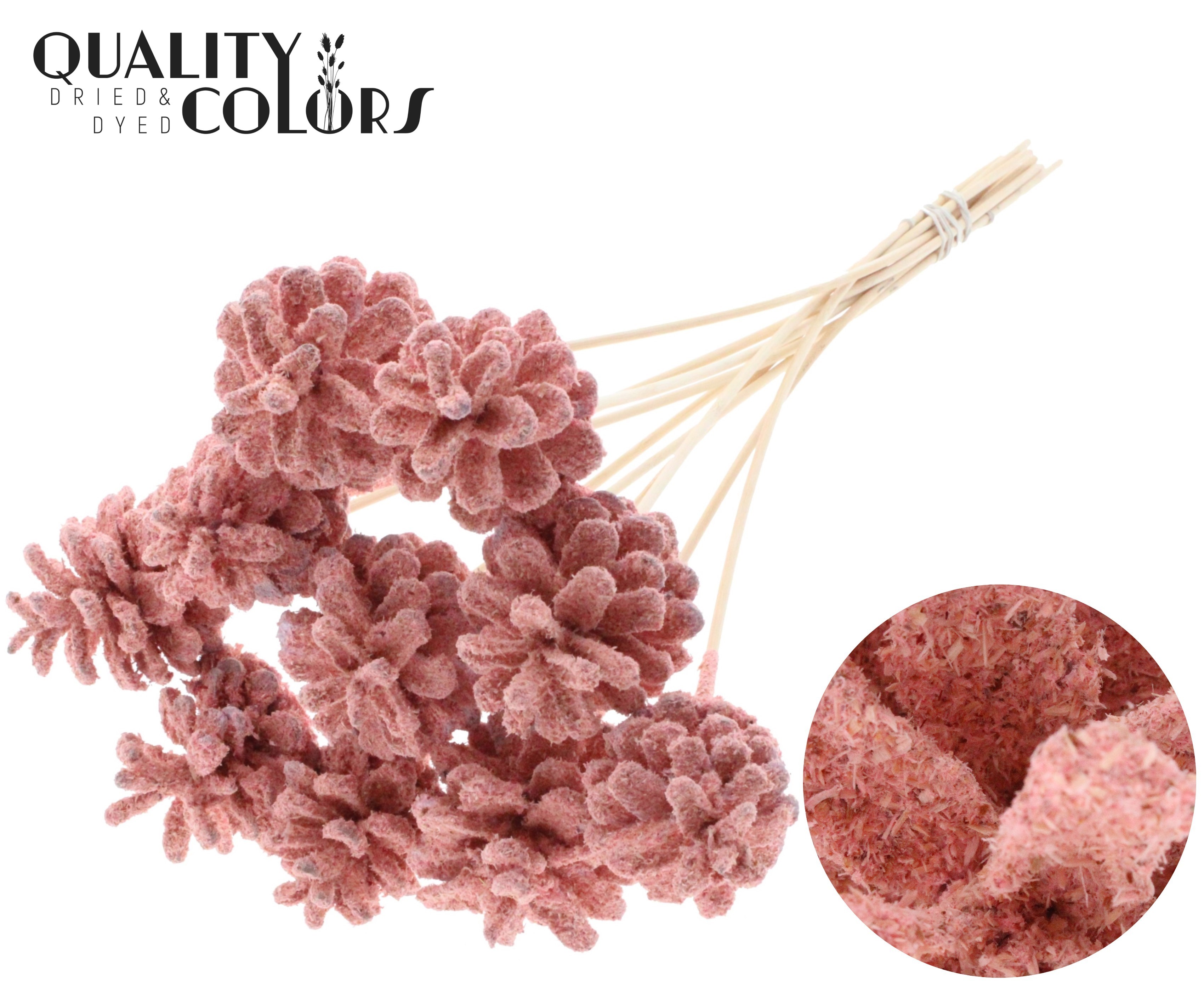 Pine Cone Sawdust Light Pink 50cm