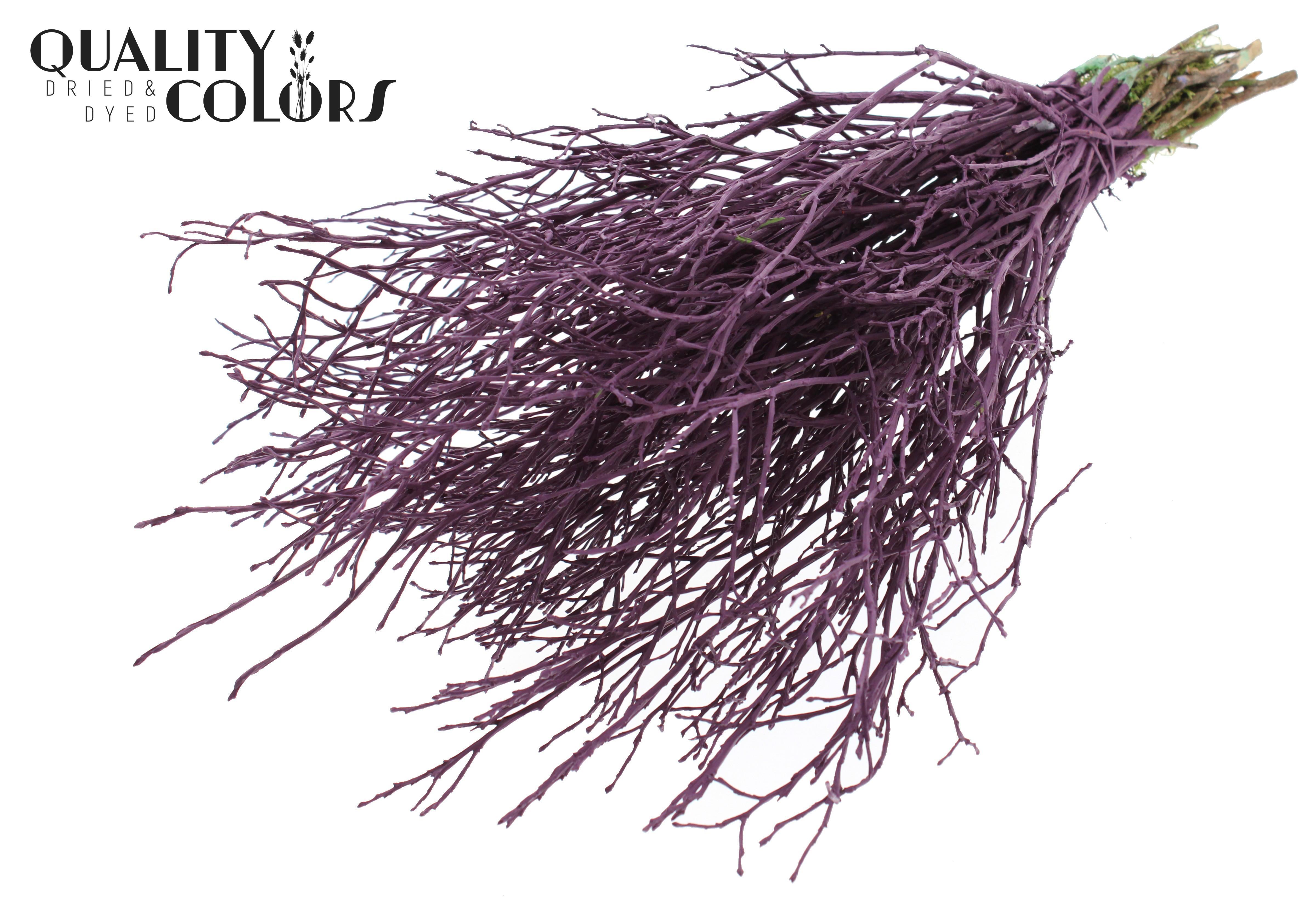 Vaccinium Burgundy Per Bunch