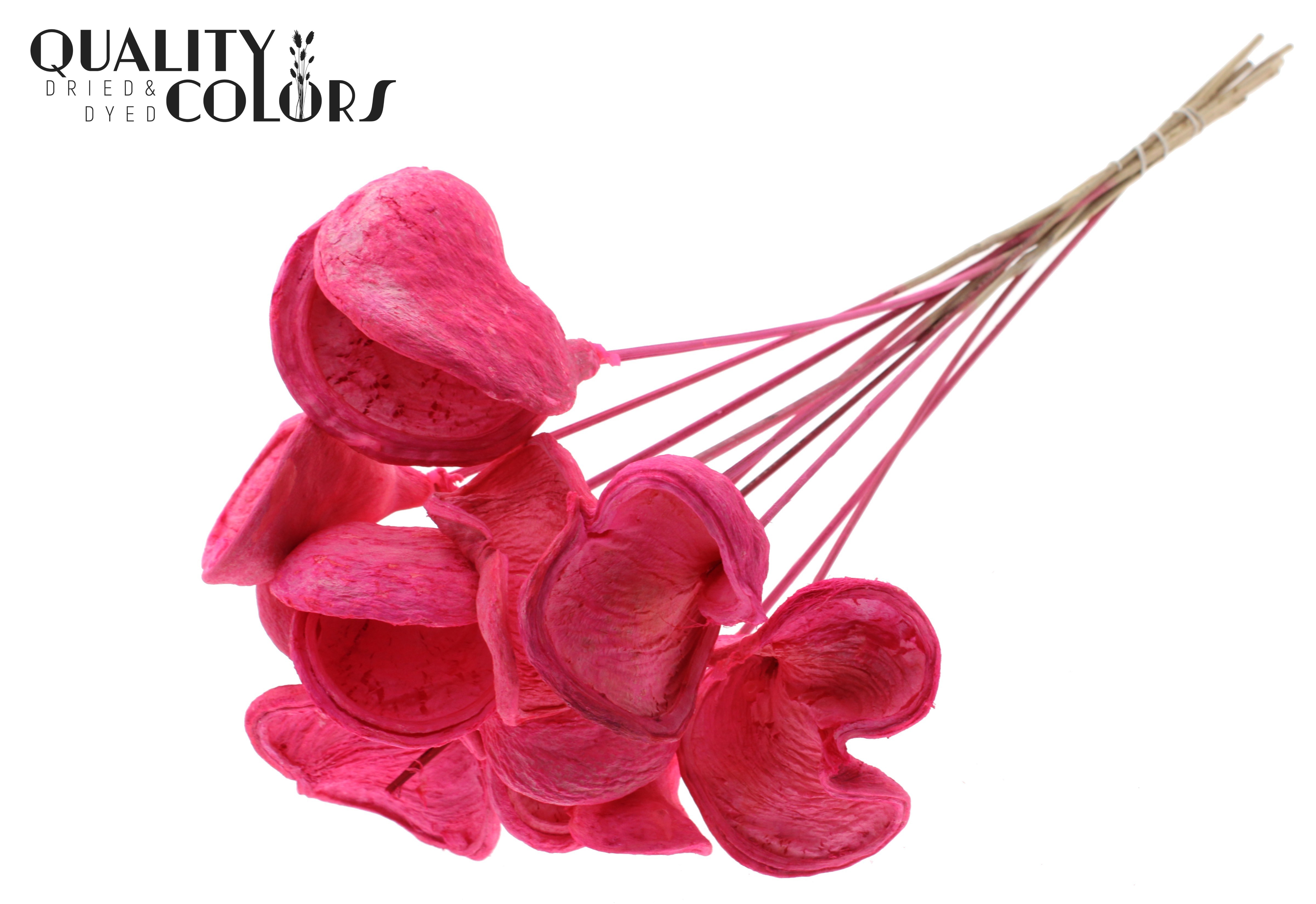 Badam Intense Cerise 50cm