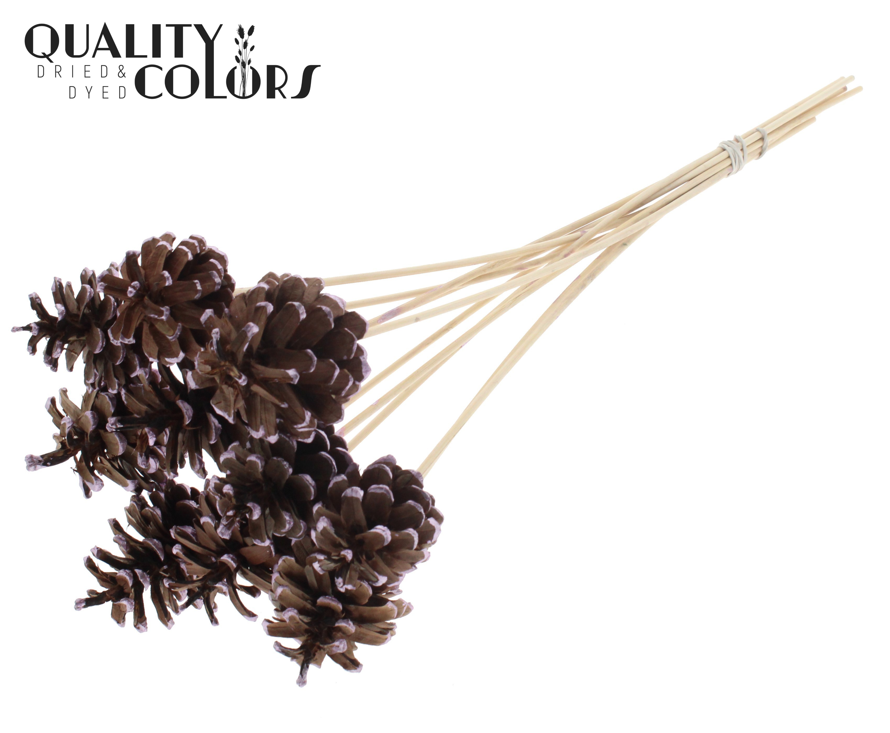 Pine Cone Metallic Pink Tipped 50cm