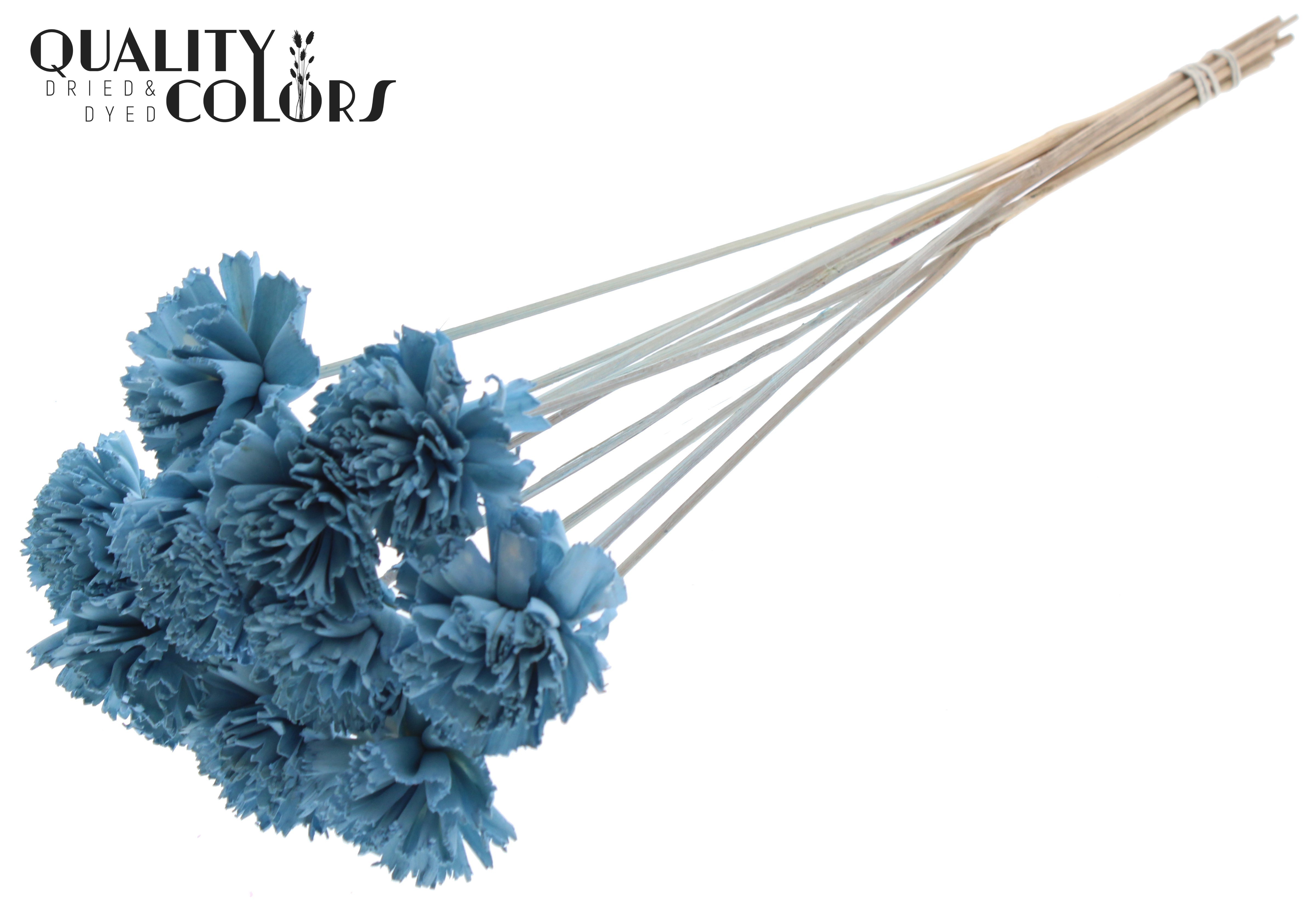 Shola Karnish Flower Light Blue 50cm