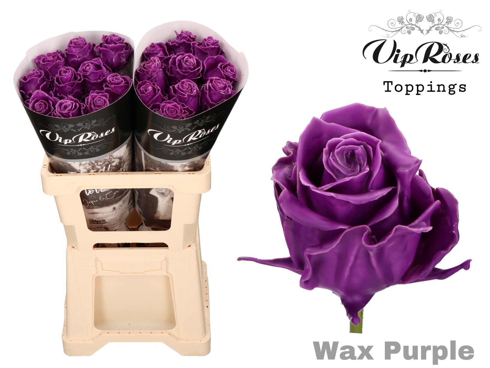 Rosa Waxed 60cm