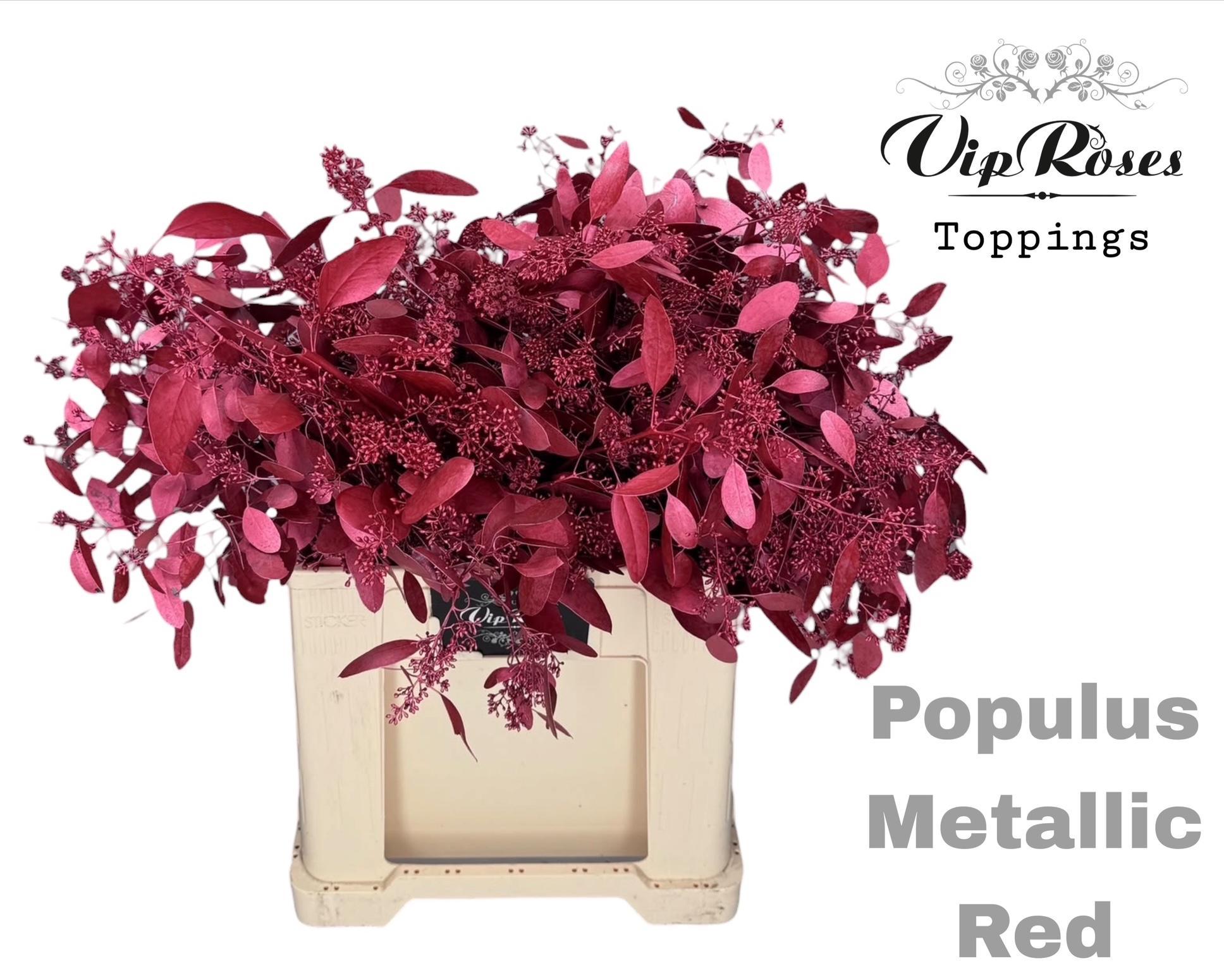 Euca Populus Bes Metallic Red