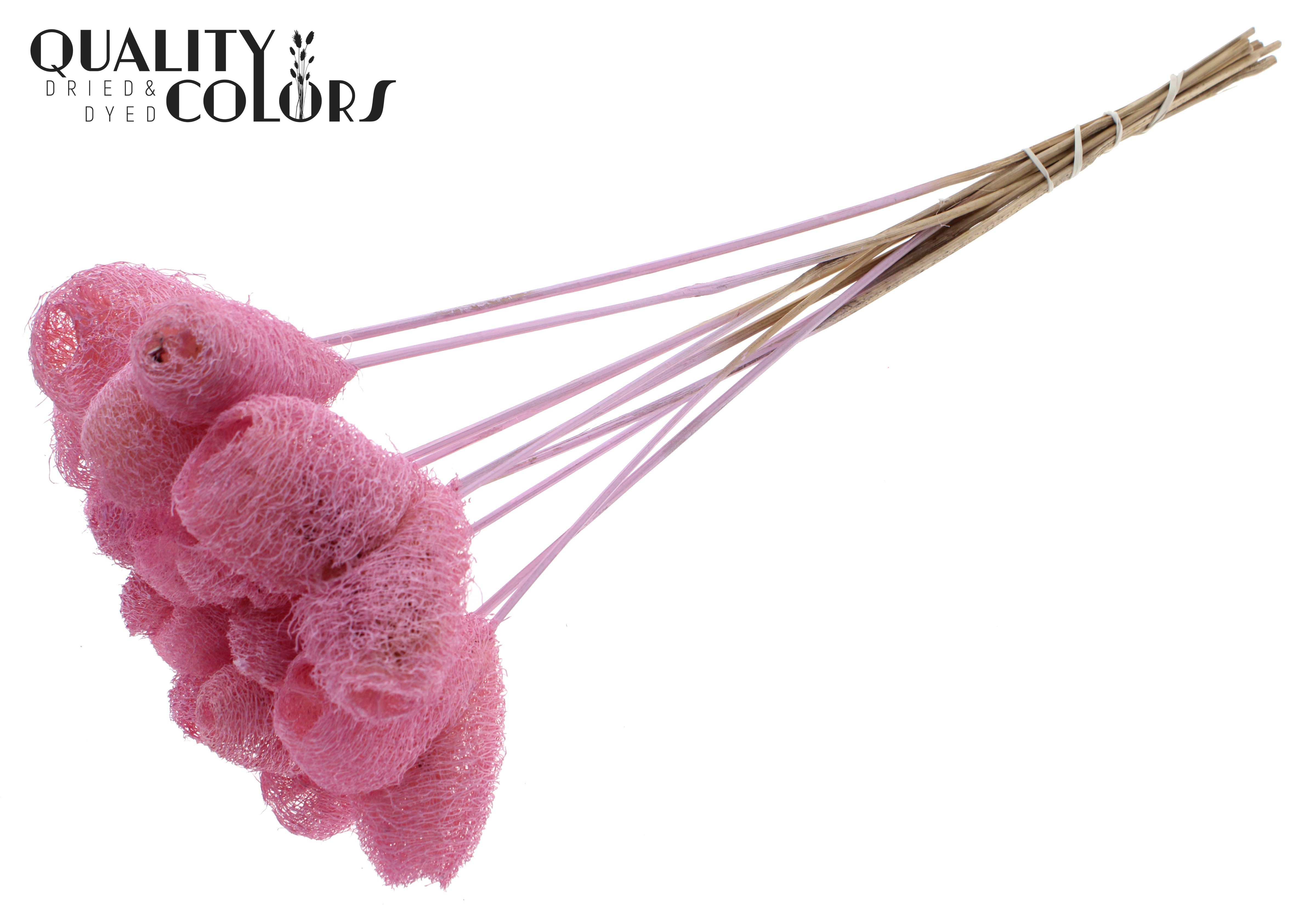 Luffa Heart Light Pink 50cm