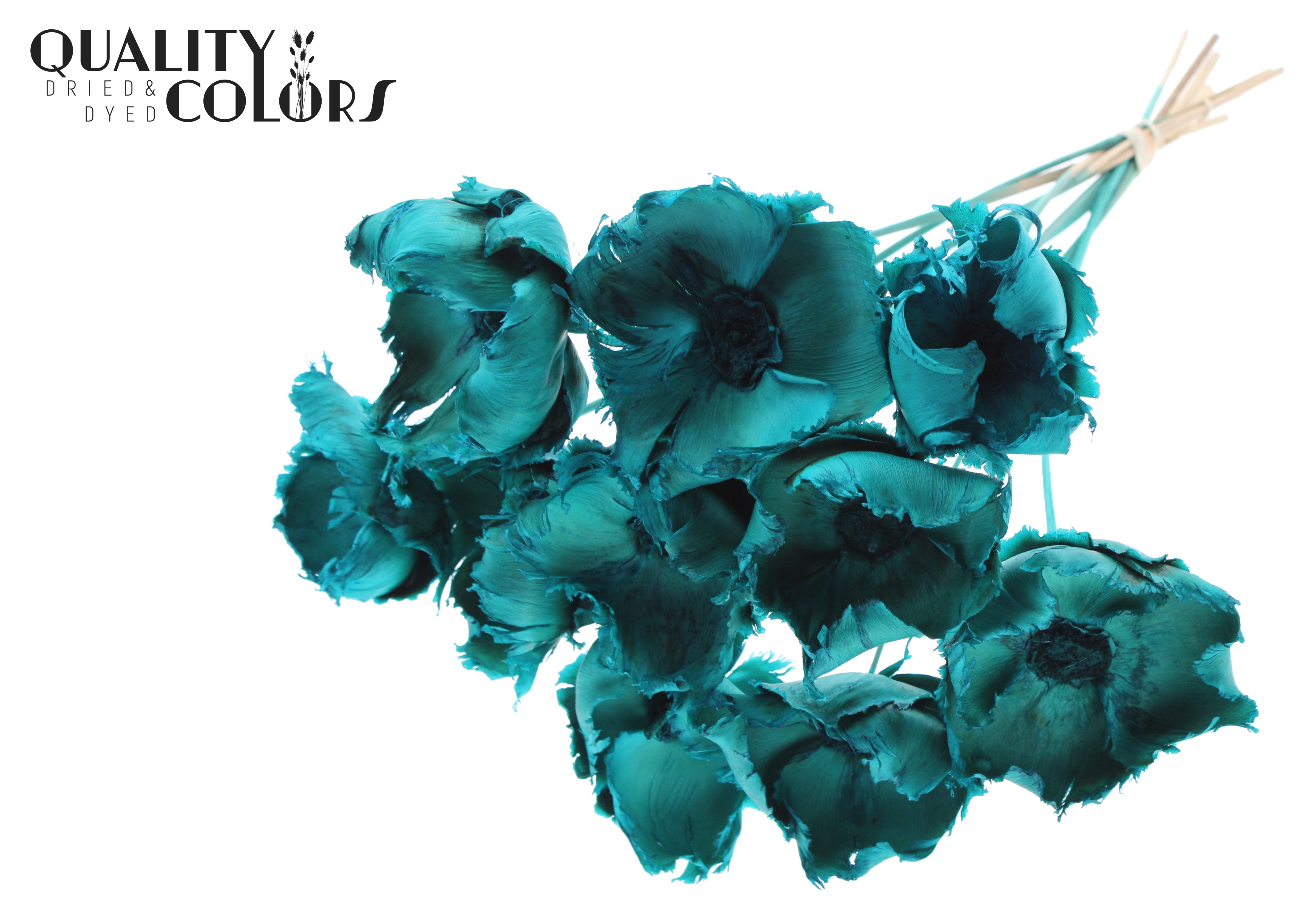 Palm Cup Intense Turquoise 50cm