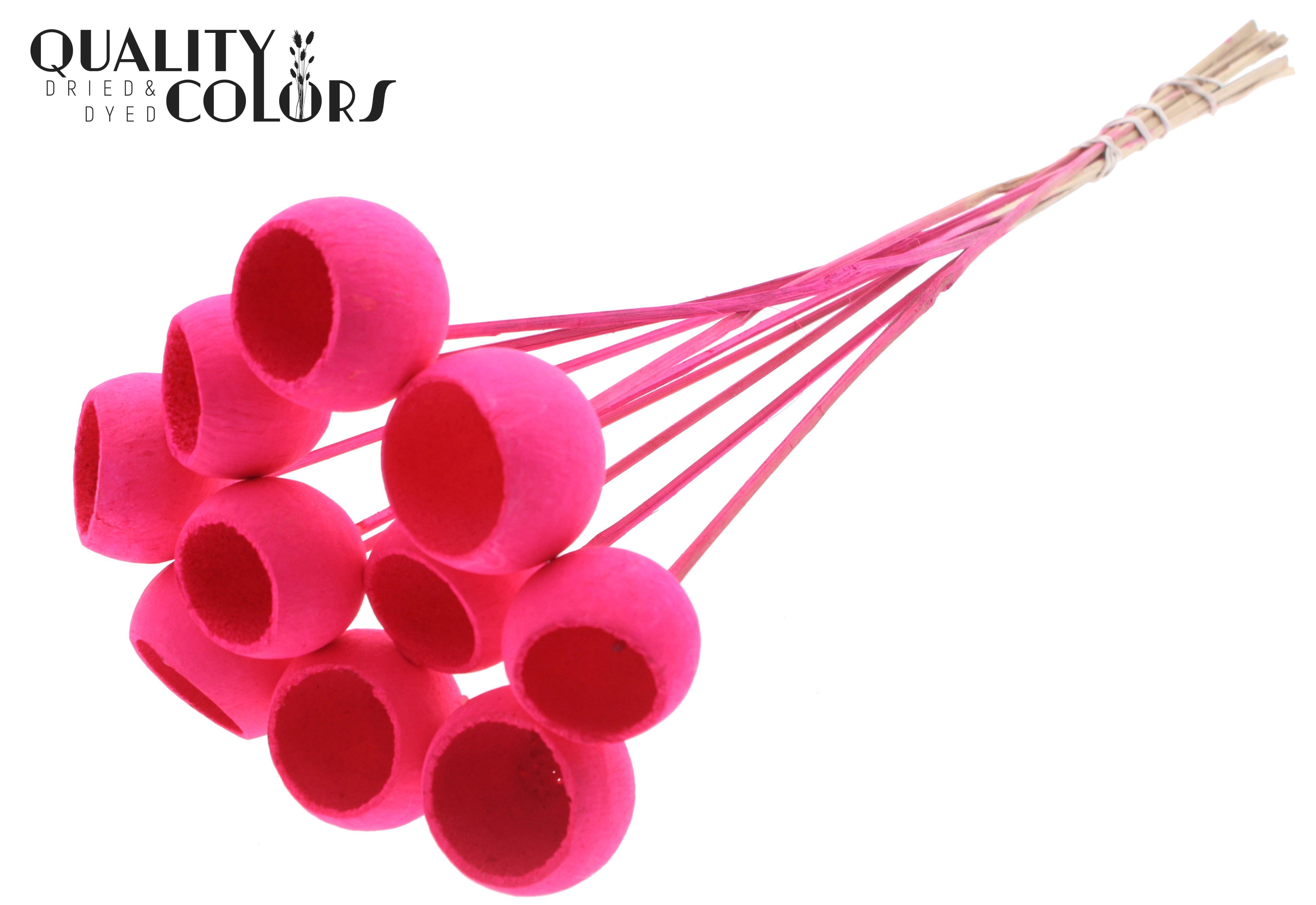 Bell Cup Intense Cerise 50cm