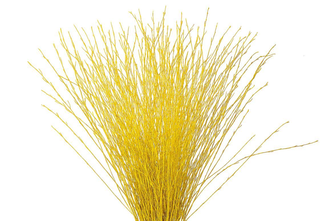 Berk 70cm Geel Pbs
