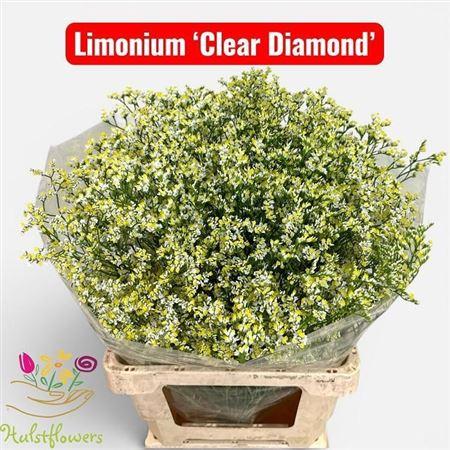 Lim Sin Clear Dia