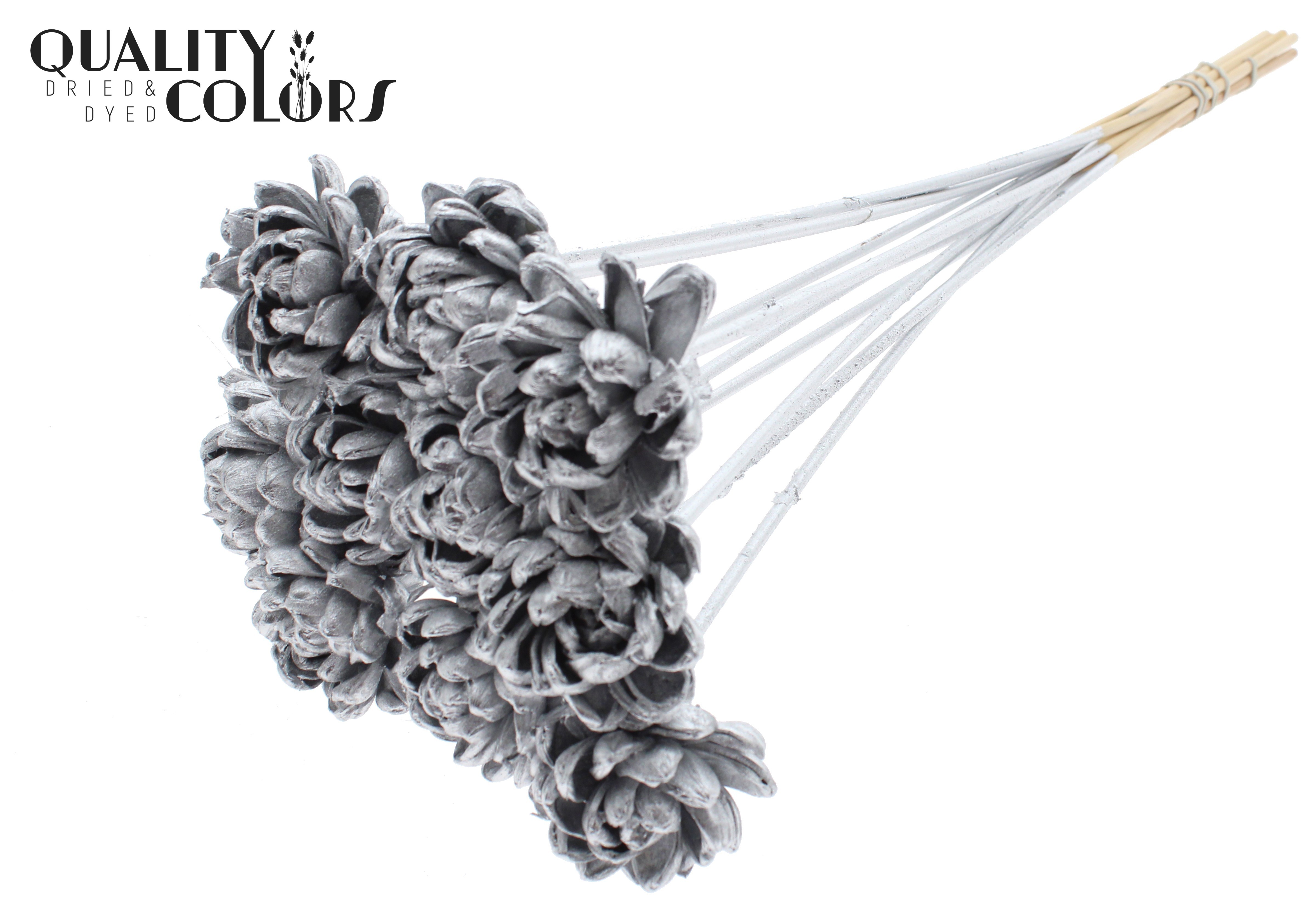 Shola Beauty Rose Silver 50cm