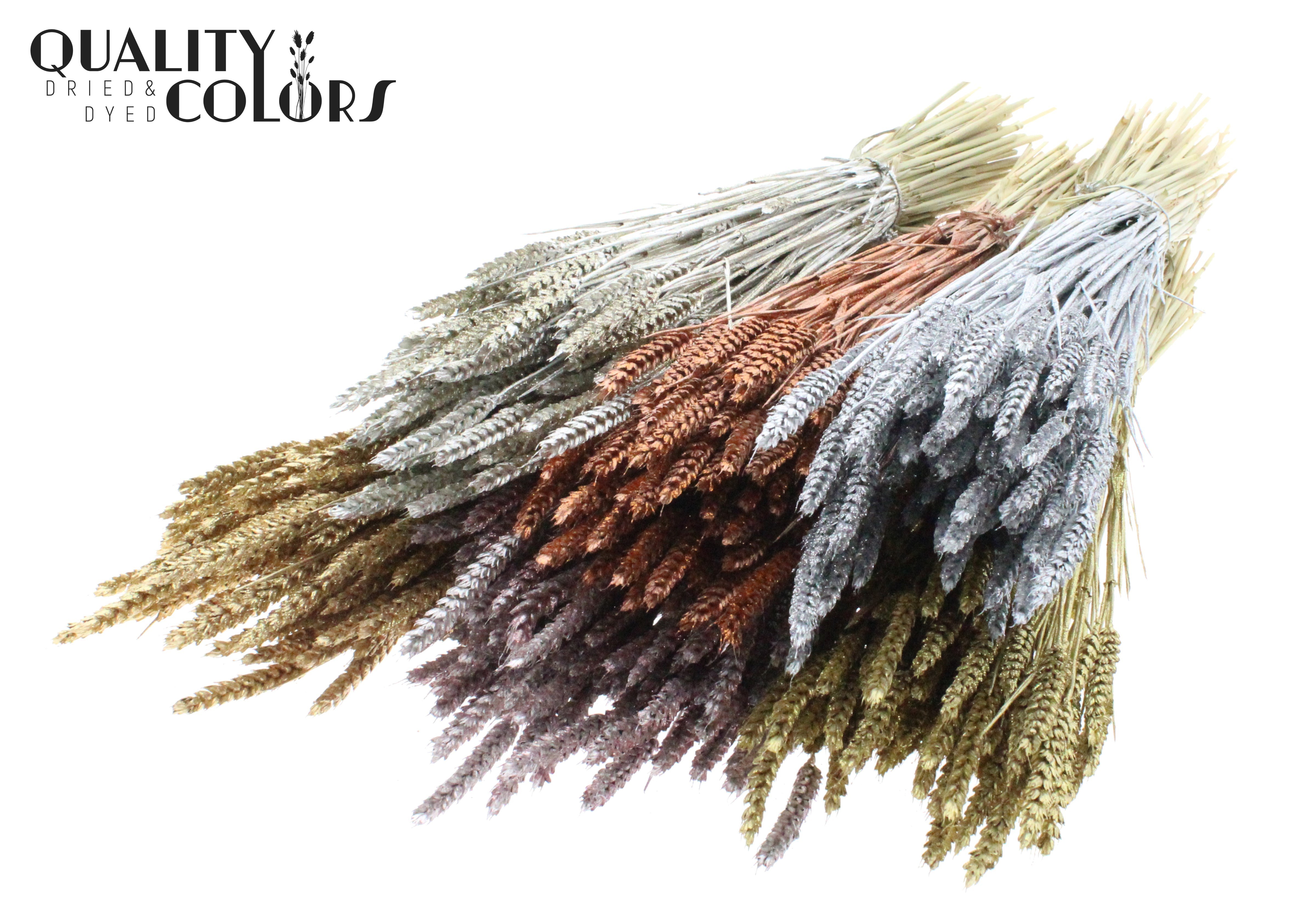 Triticum Mix Metallic + Glitter Per Bunch 60cm