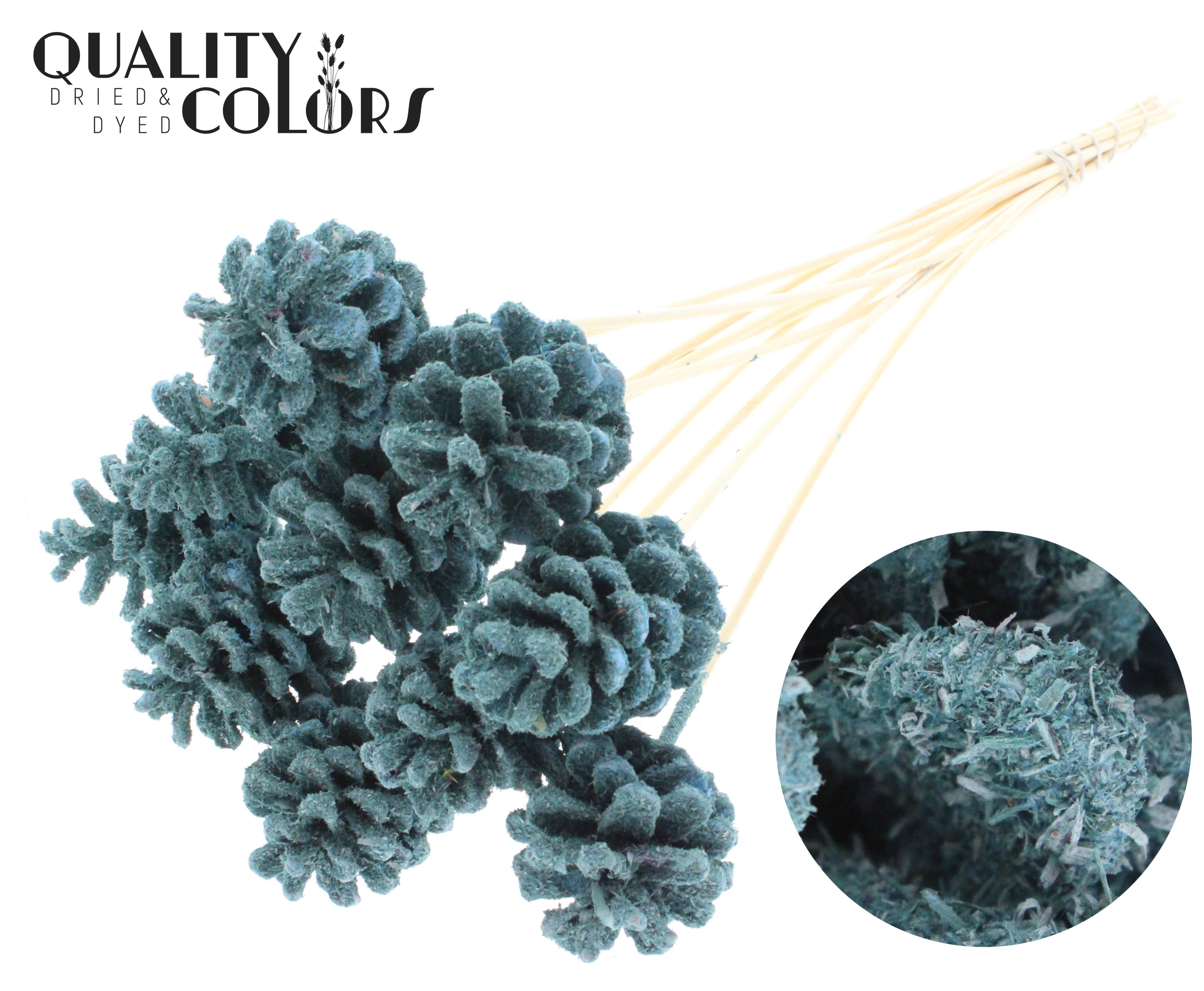 Pine Cone Sawdust Light Blue 50cm