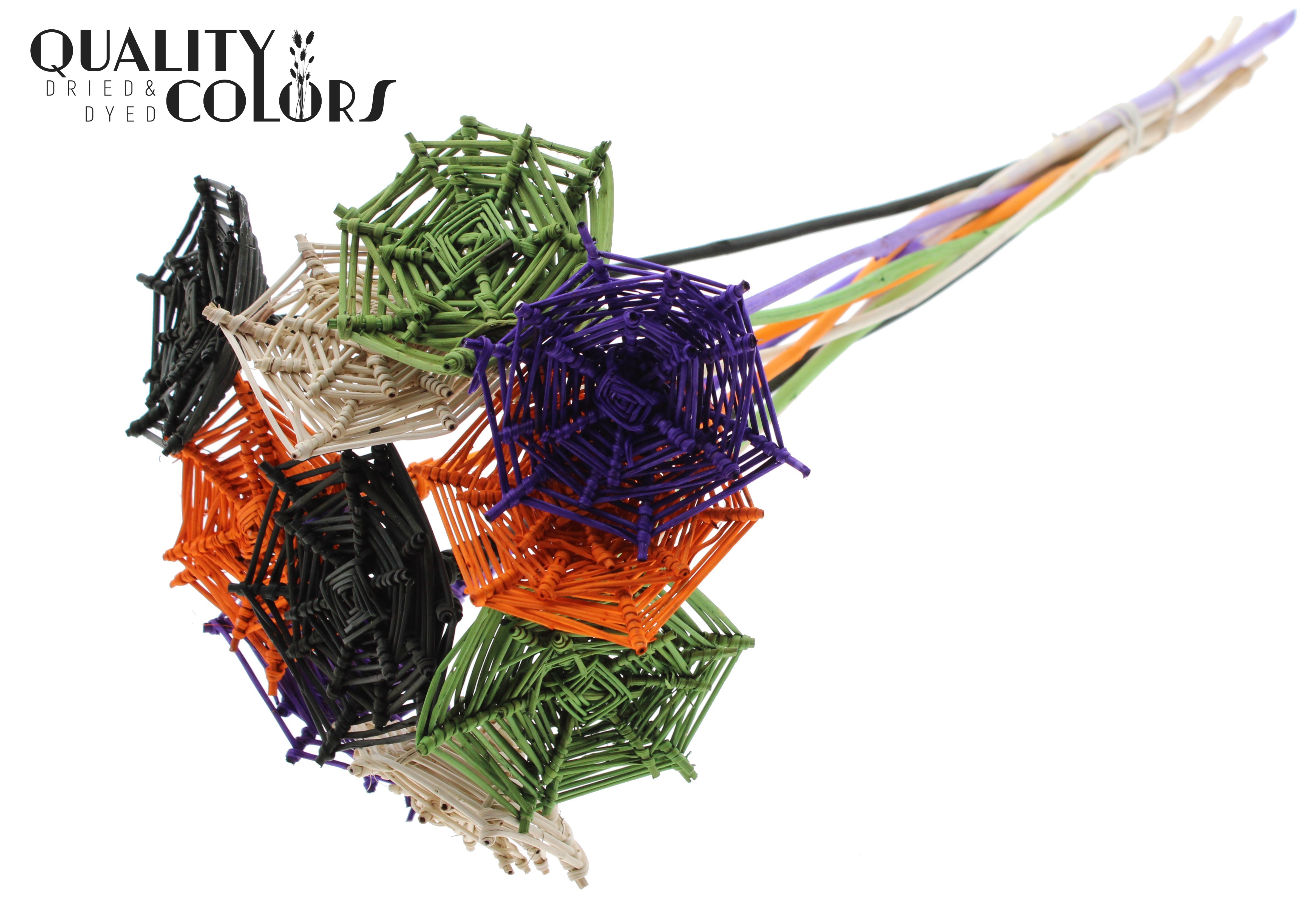 Lata Spiderweb Halloween 50cm