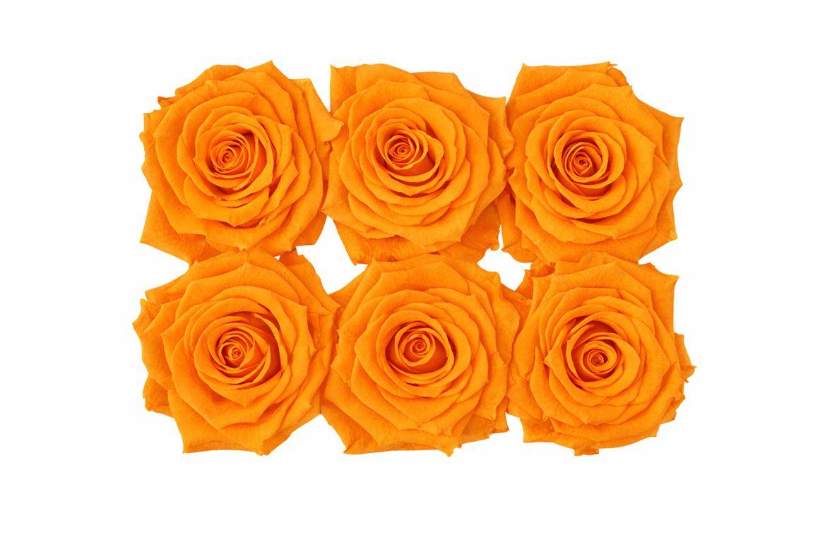 Ro Pres Classic Orange