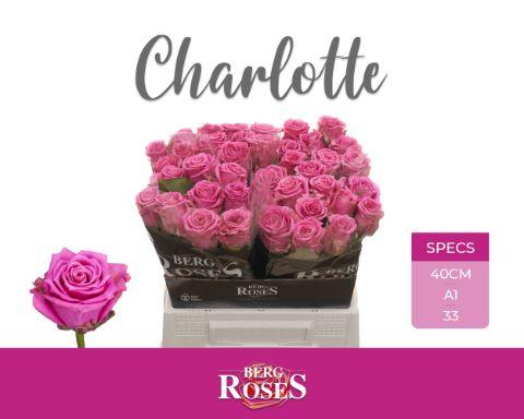 Rosa Tan Charlotte 40cm
