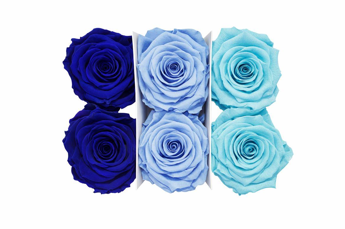 Ro Pres Classic Mix Blue