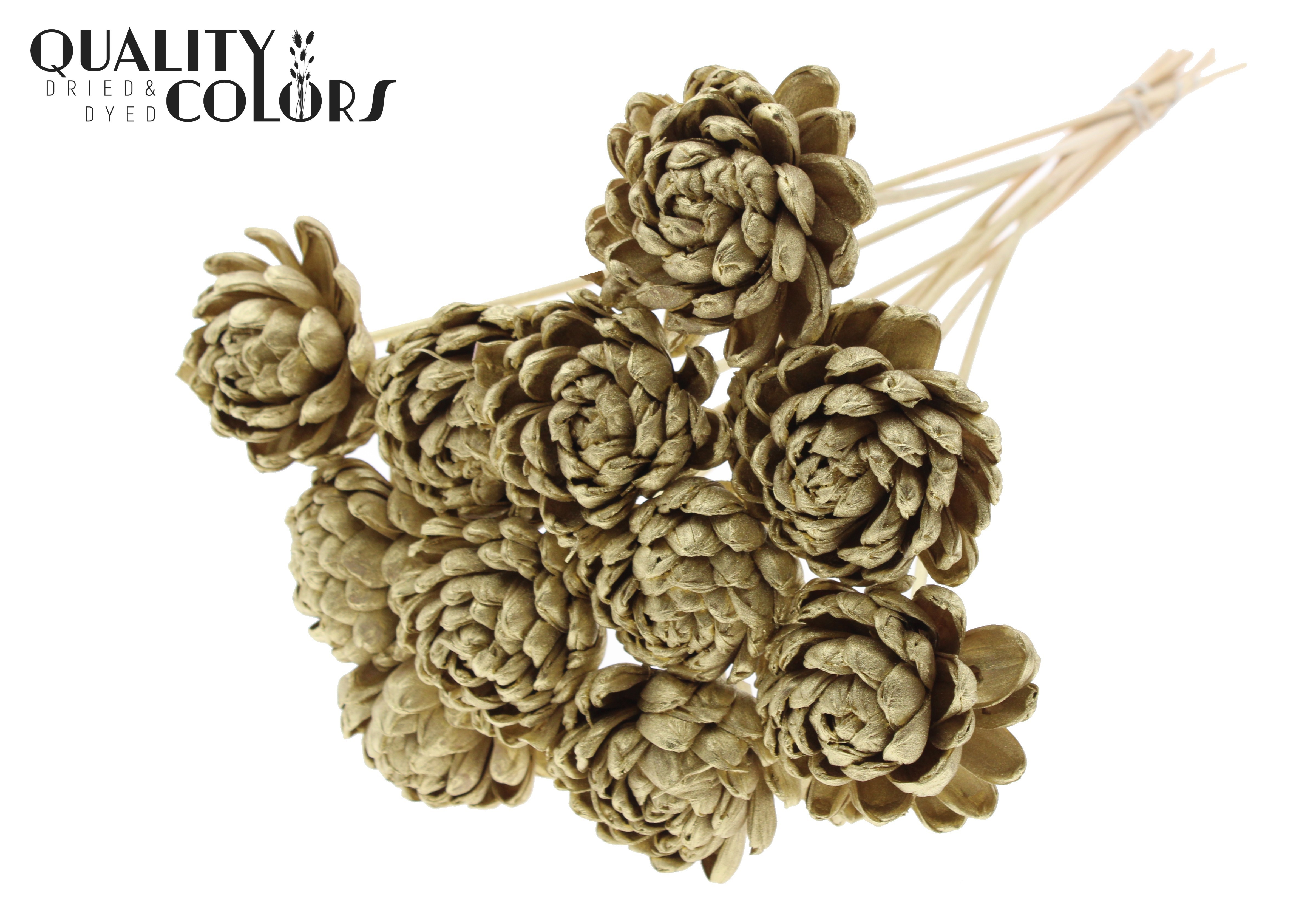 Shola Beauty Rose Gold 50cm