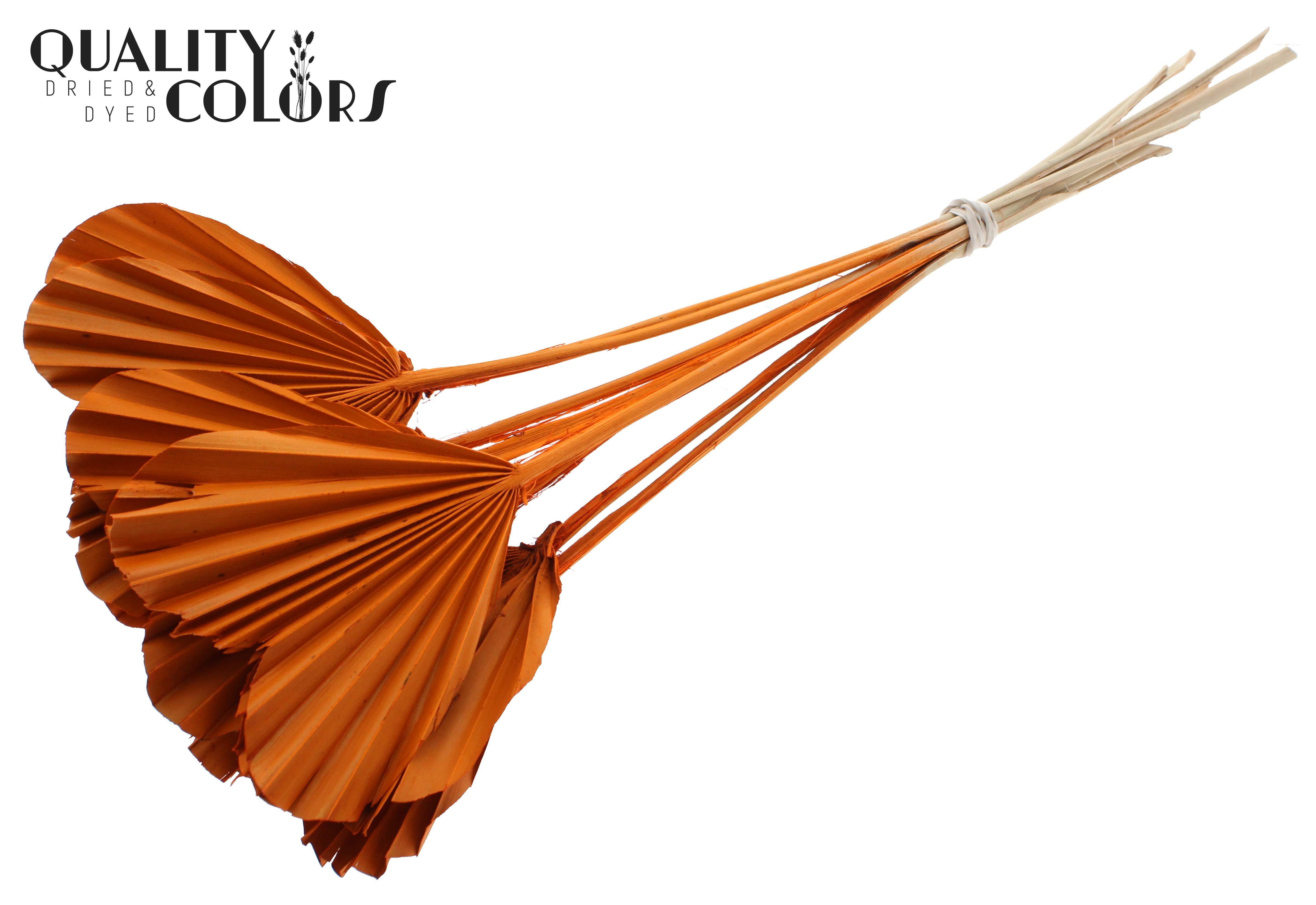 Palm Spear Heart Orange 45cm