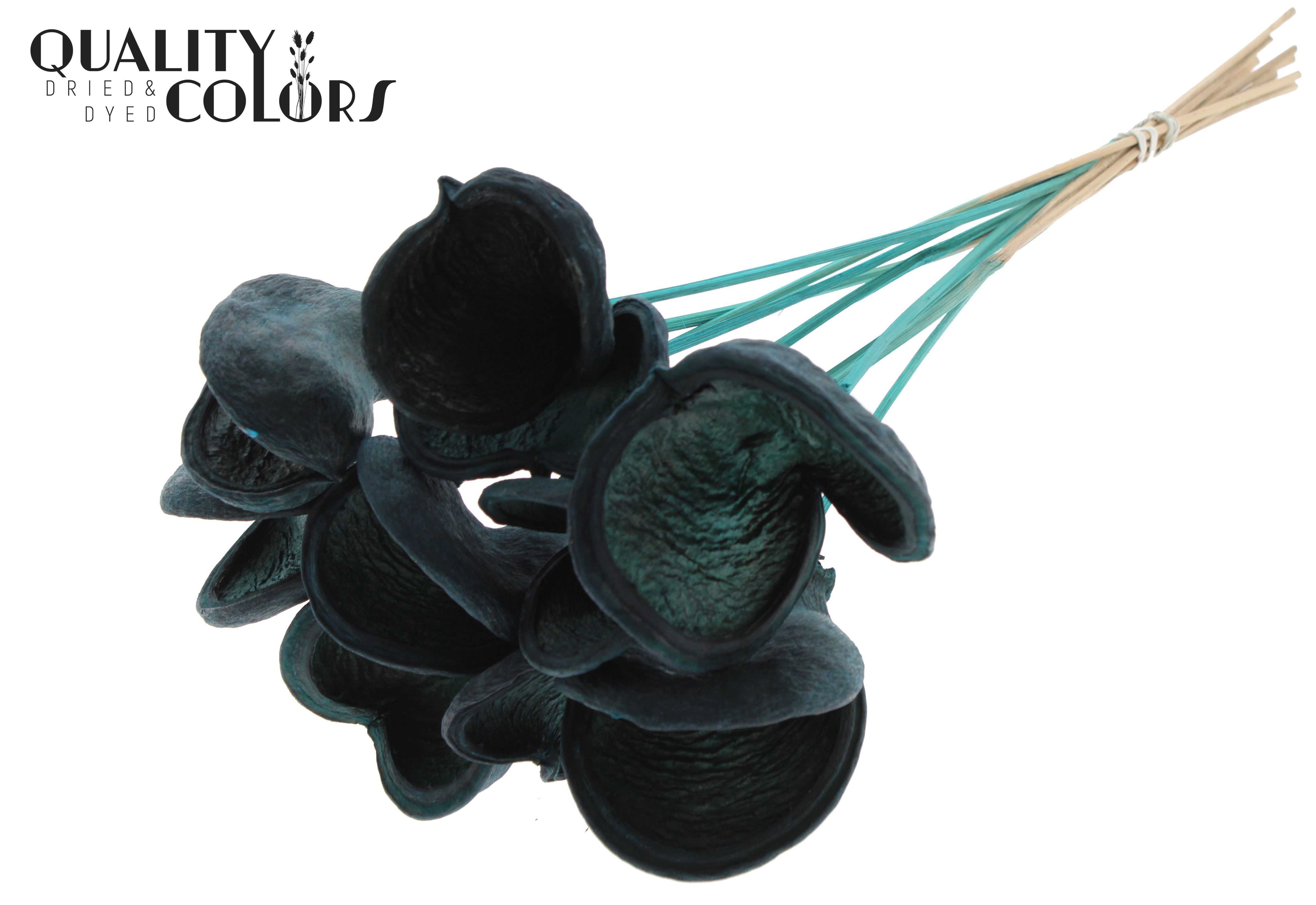 Badam Turquoise 50cm