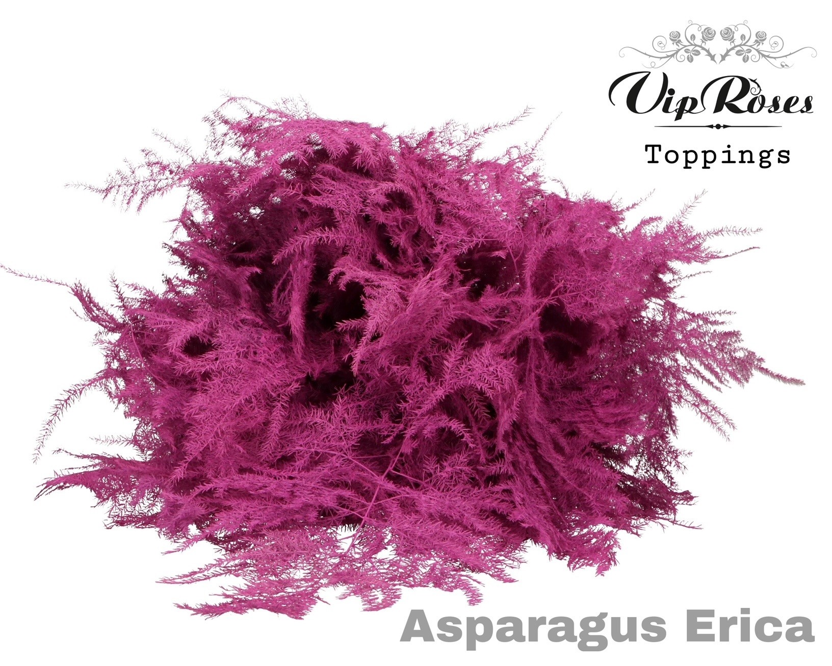 Asp Ov Getopt Lang Erica 85 cm
