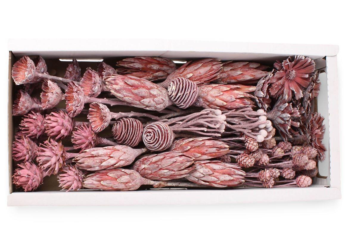 Exotic Assorti Frosted Erika ( 70 St )