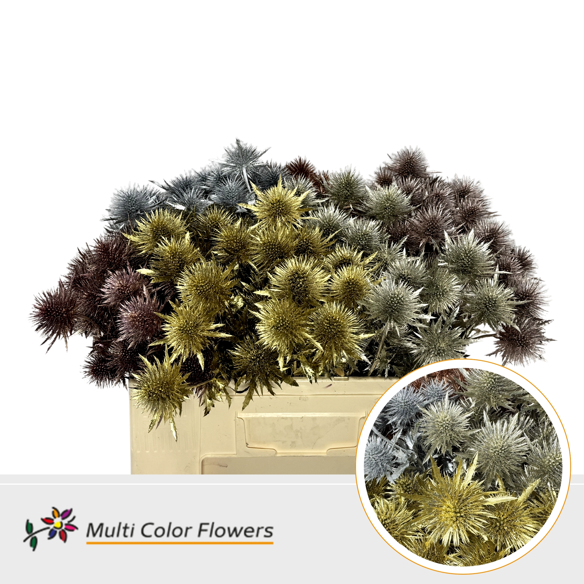 Eryngium Kerst Metallic Mix
