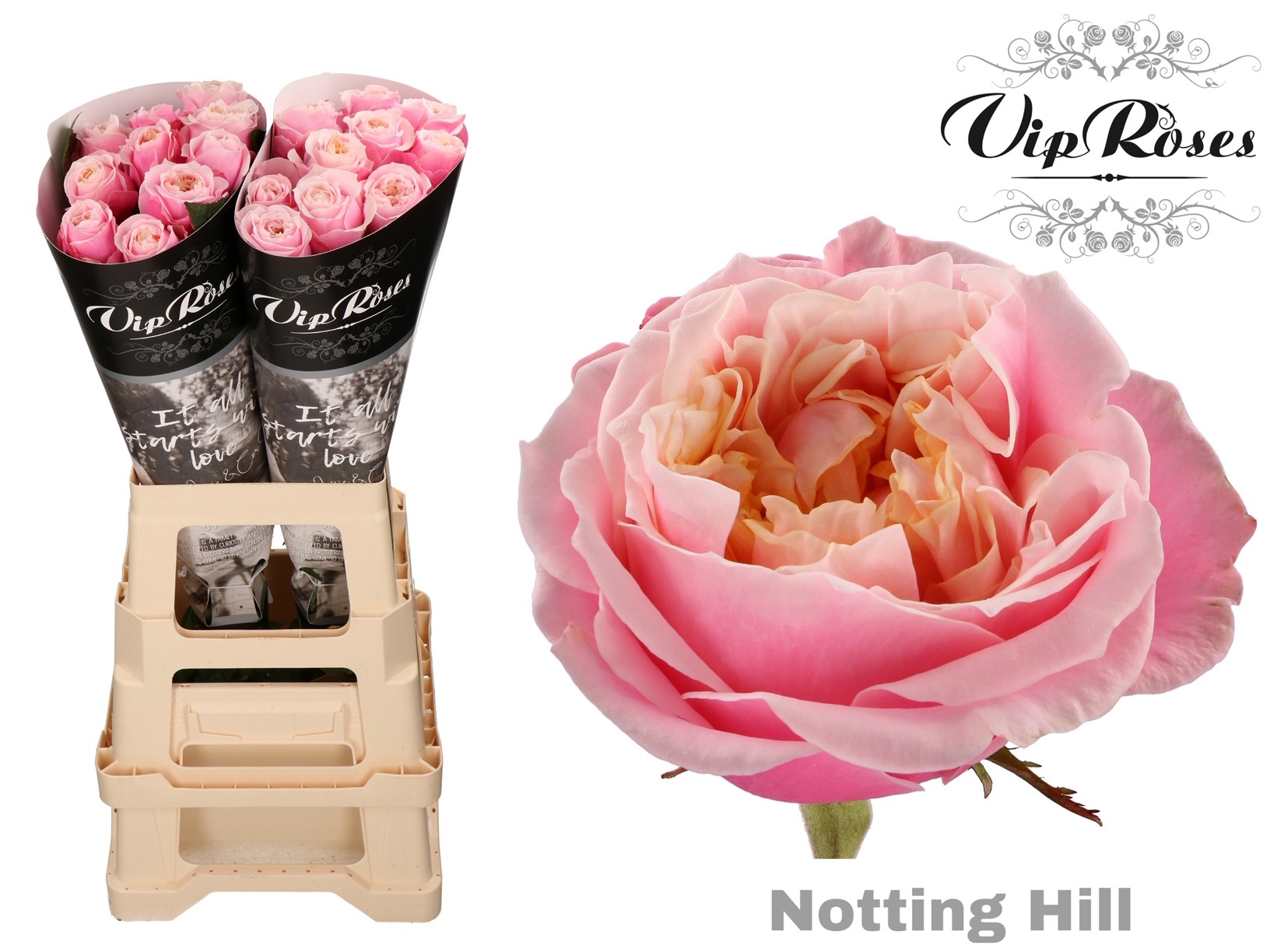 R Gr Notting Hill 70 cm