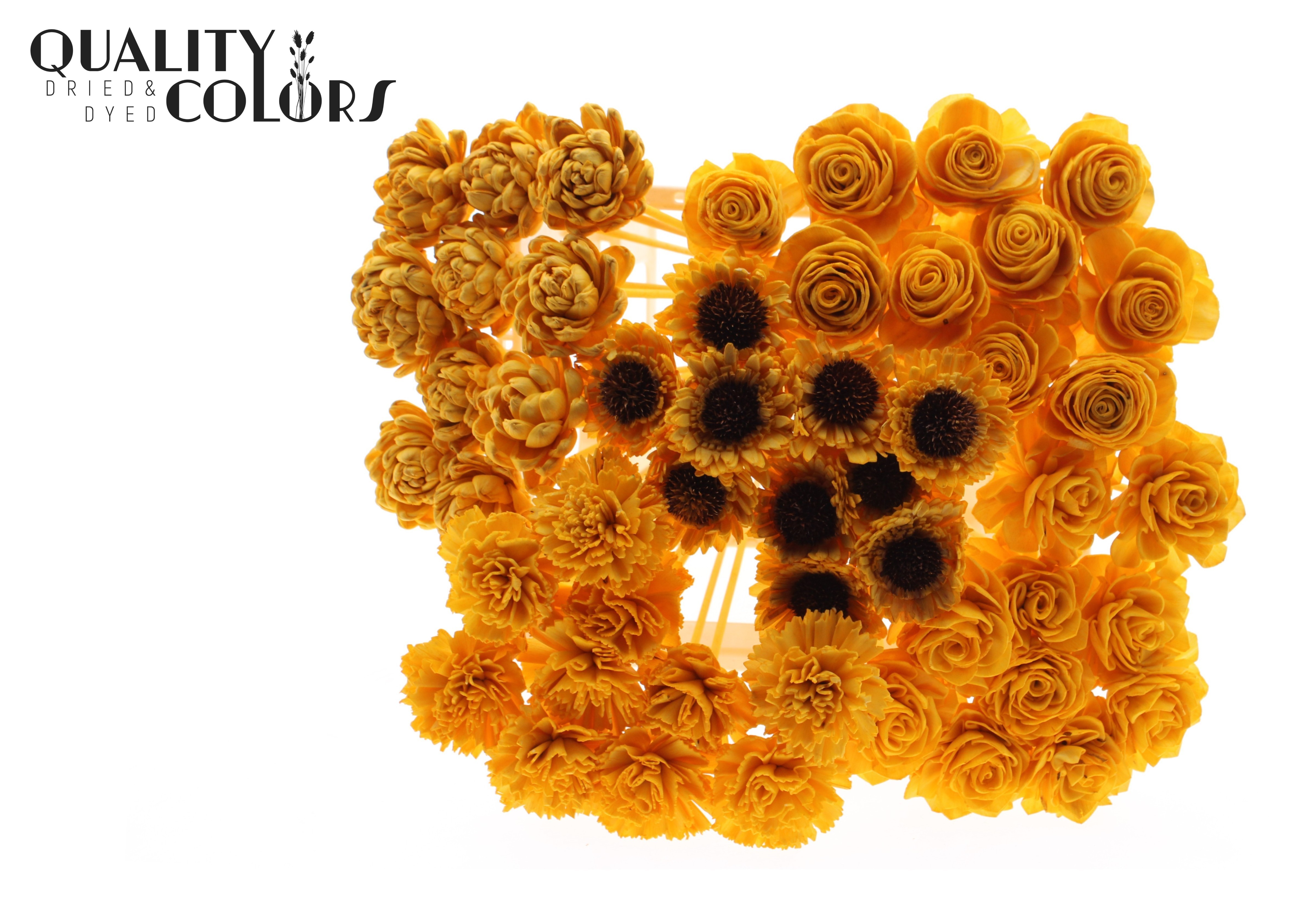 Shola Mix Apricot 50cm