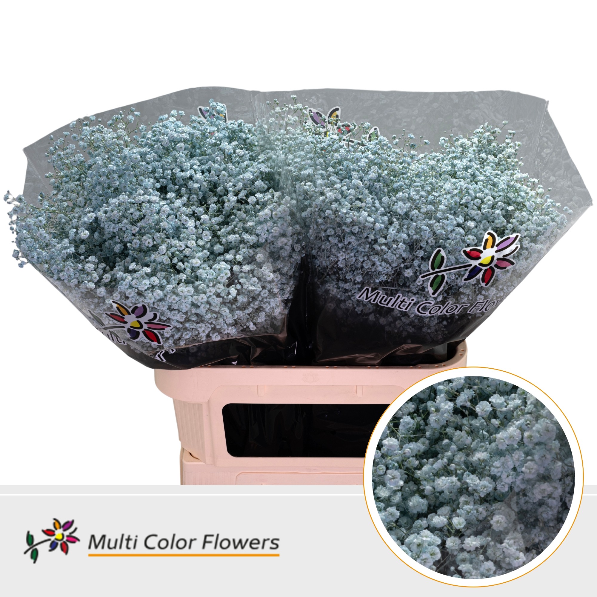 Gypsophila Painted Xlence Light Blue 80cm