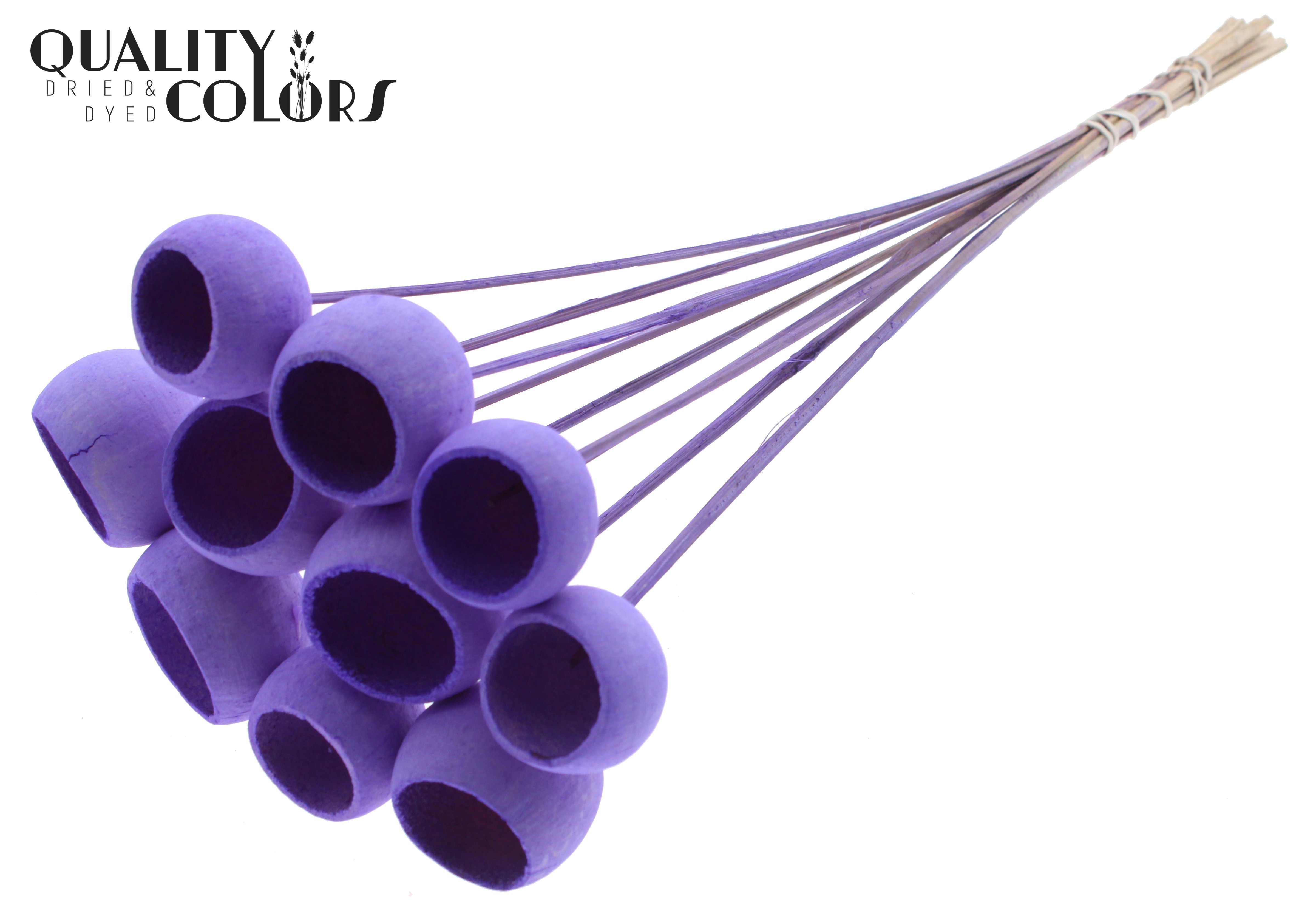 Bell Cup Intense Milka 50cm