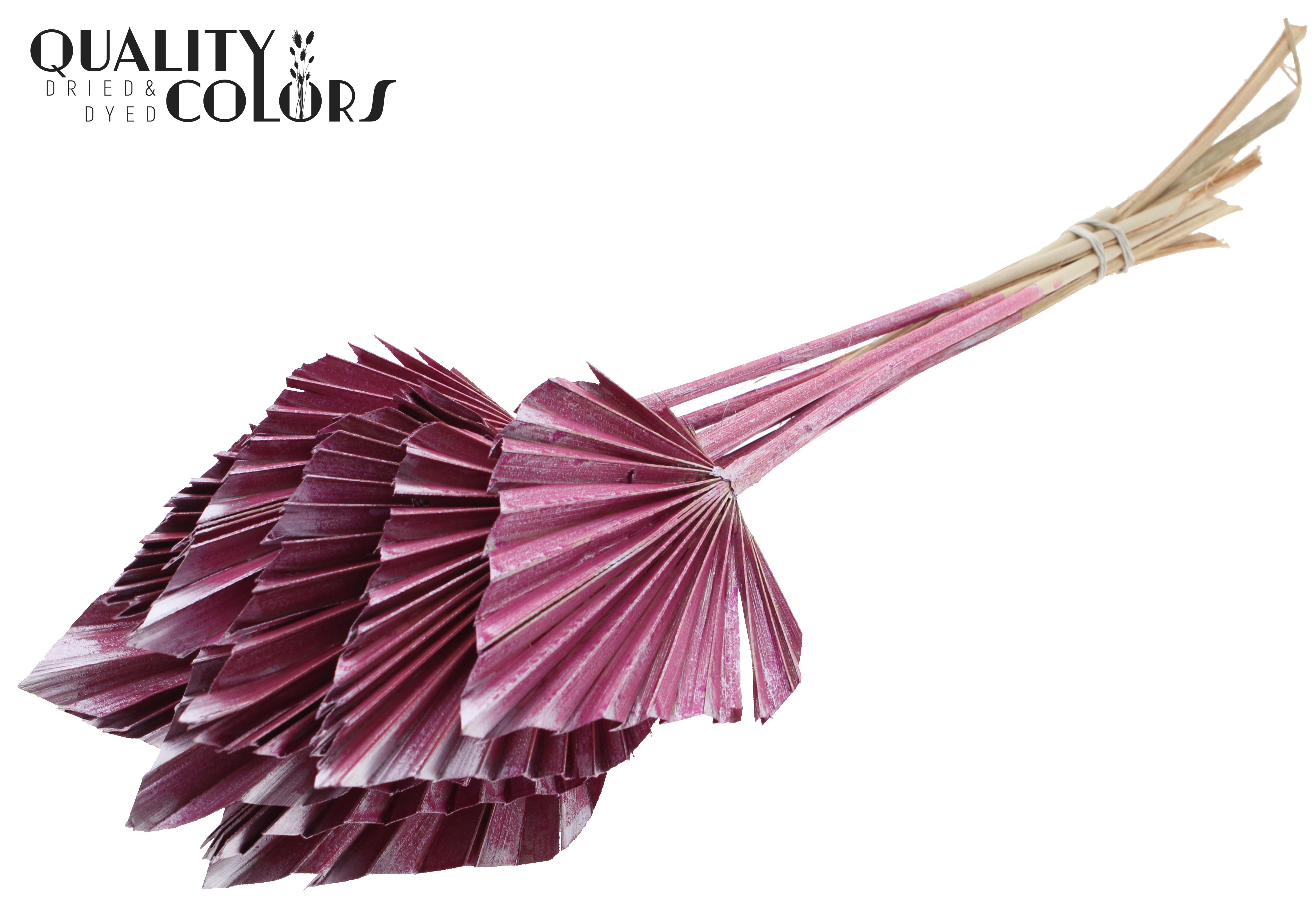 Palm Sun Metallic Pink 50cm