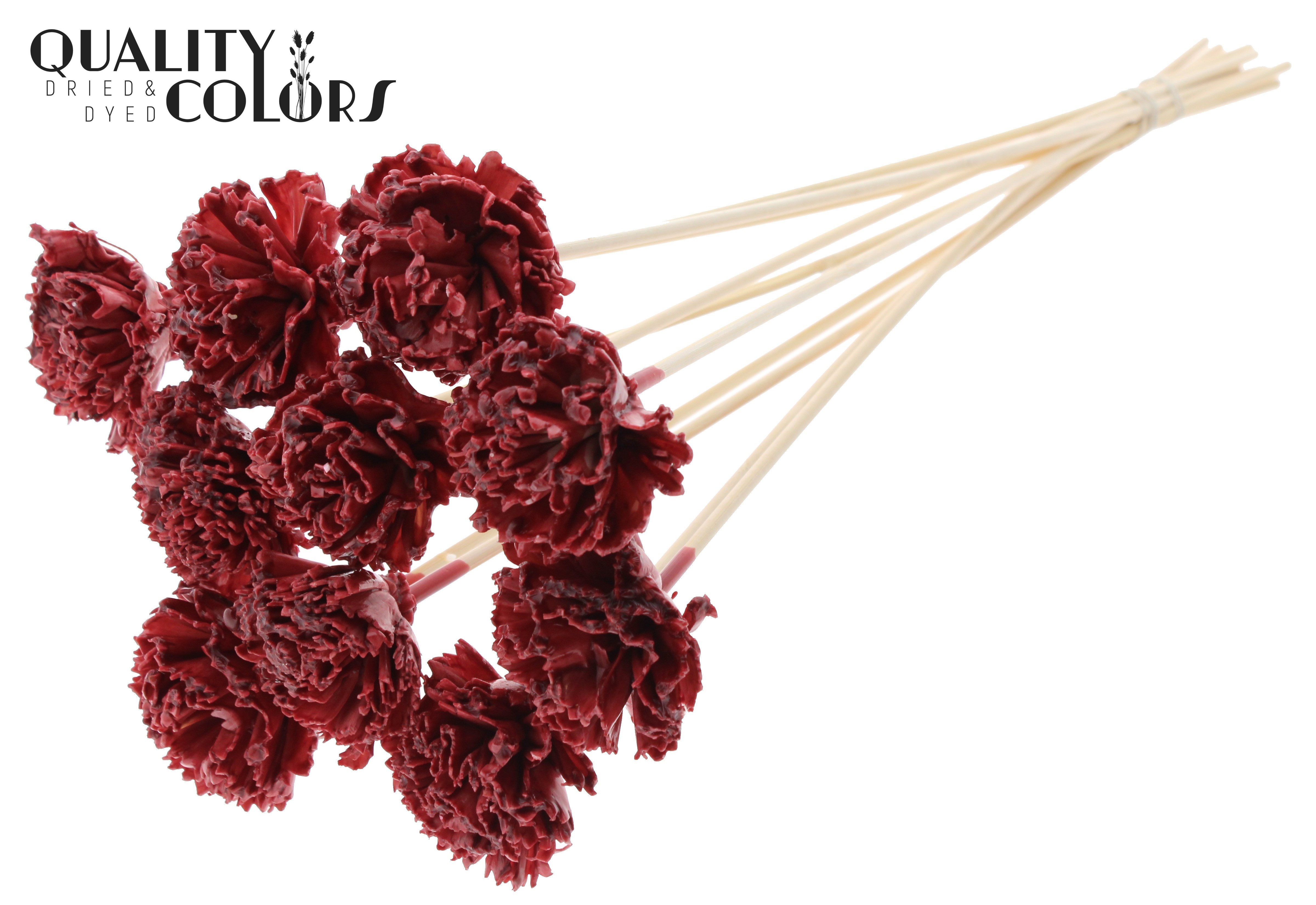 Shola Karnish Flower Wax Burgundy 50cm
