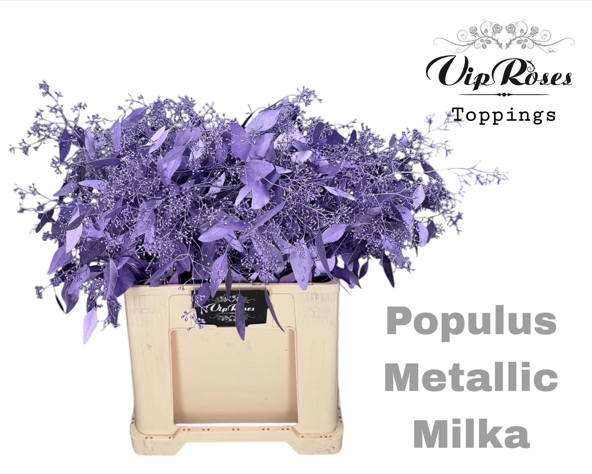 Euca Populus Bes Metallic Milka