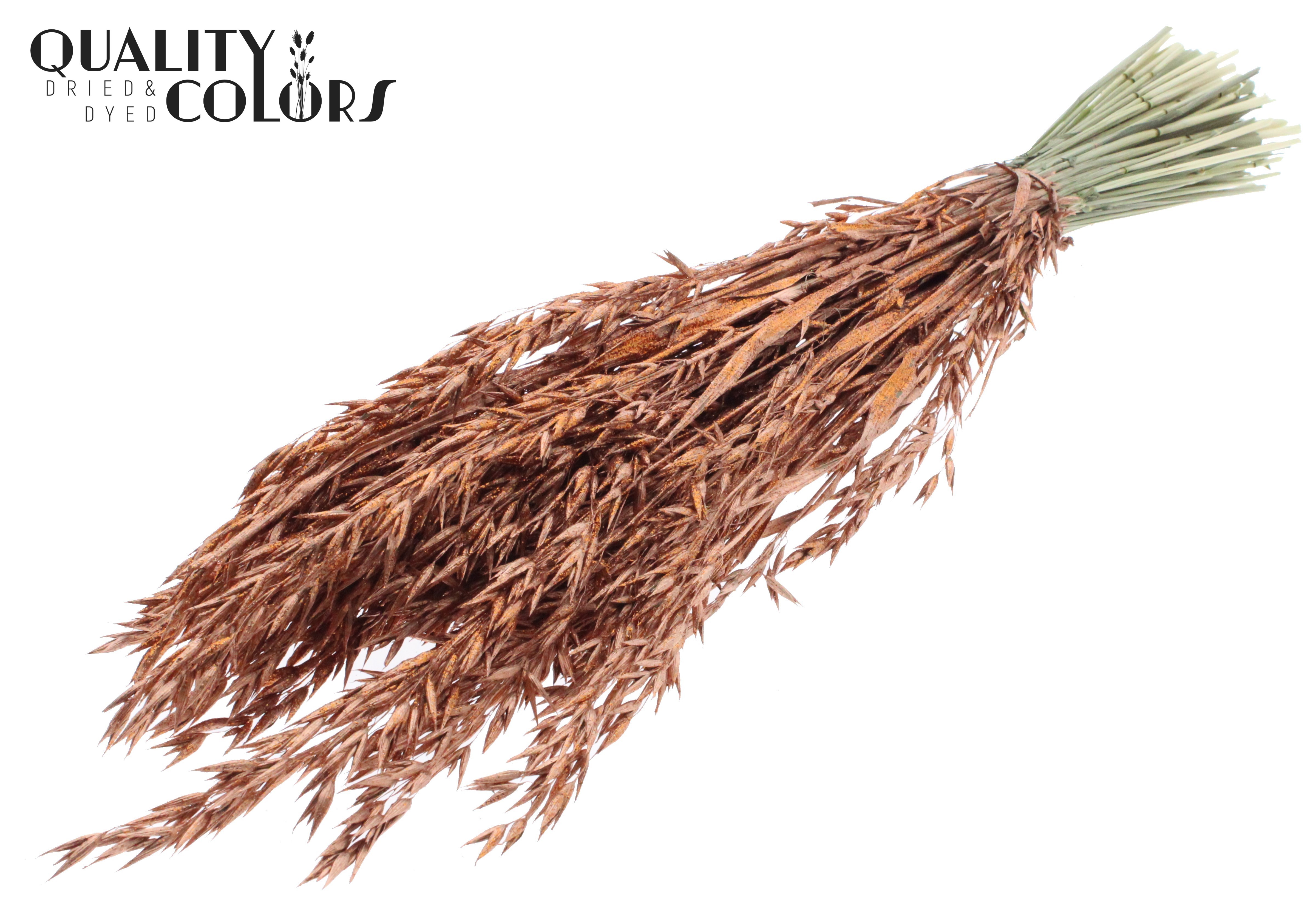 Avena Copper + Glitter Per Bunch 60cm