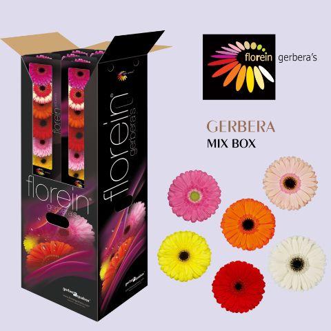 Ge Gr Mix Aquabox 96