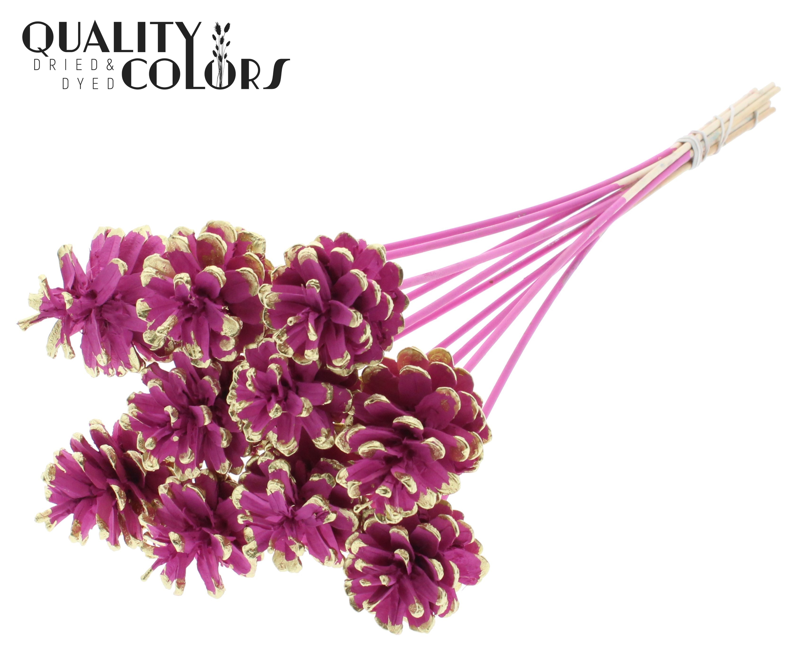 Pine Cone Cerise + Gold Tipped 50cm