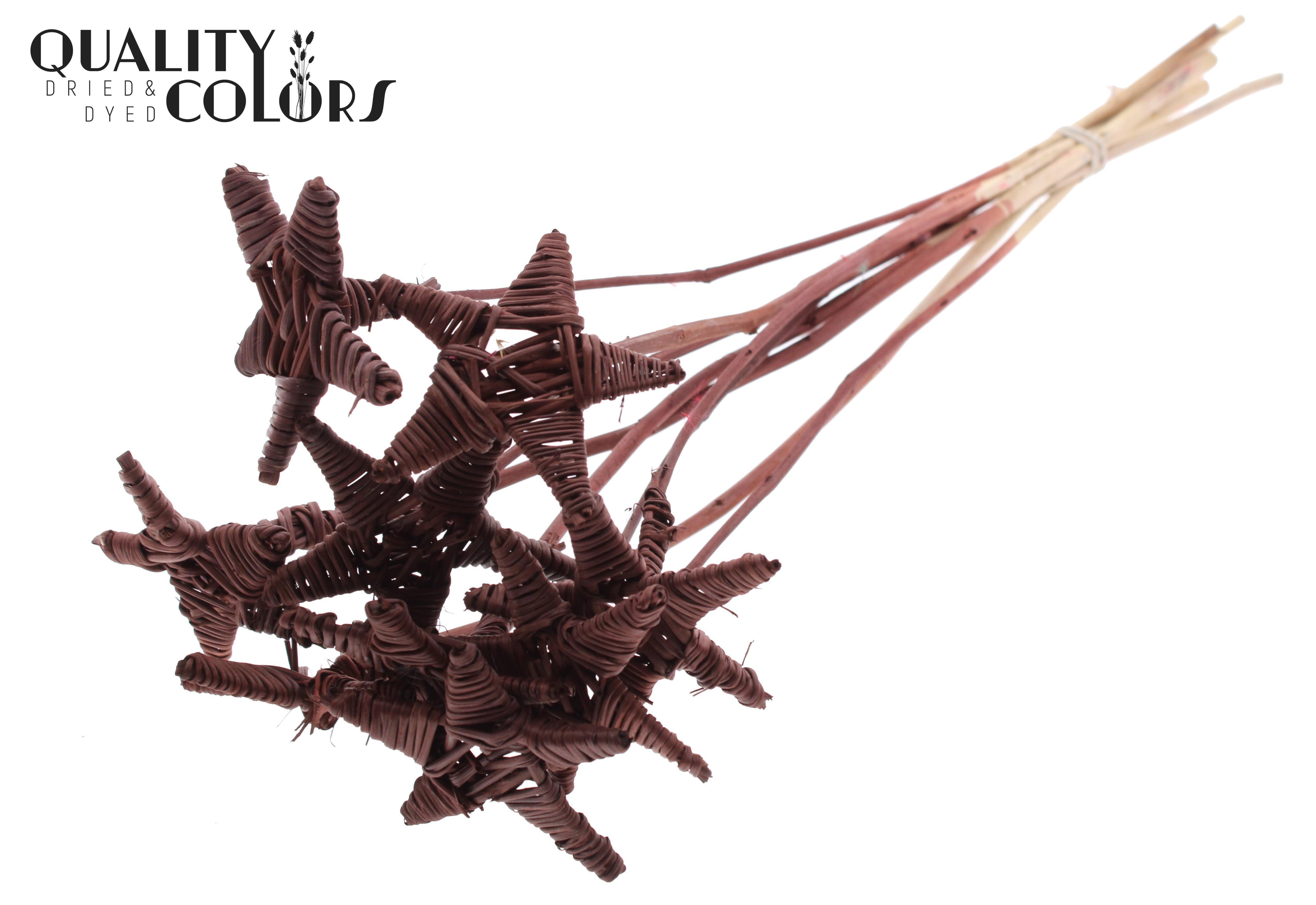 Lata Star Brown 50cm