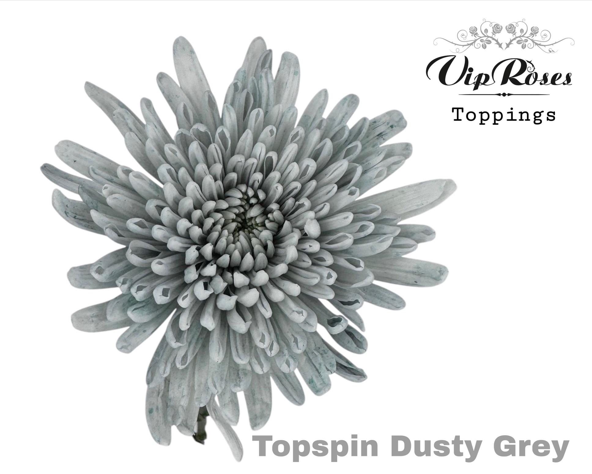 Chr G Topspin Dusty Grey 70 cm