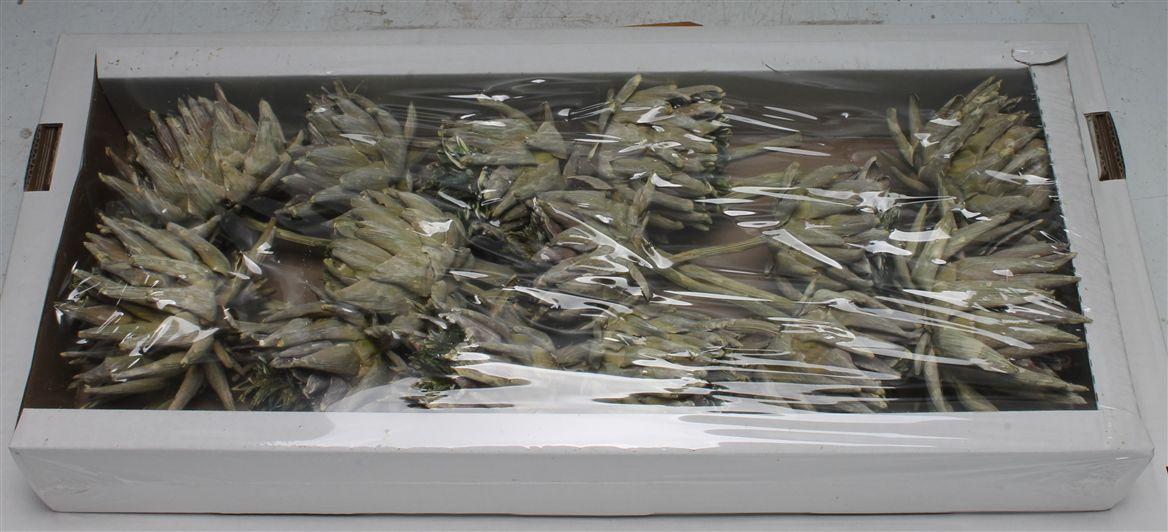 Artichoke Dark Green Frosted ( X 14 St )