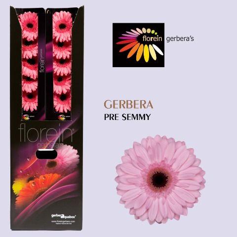 Ge Gr Pre-semmy Aquabox 80
