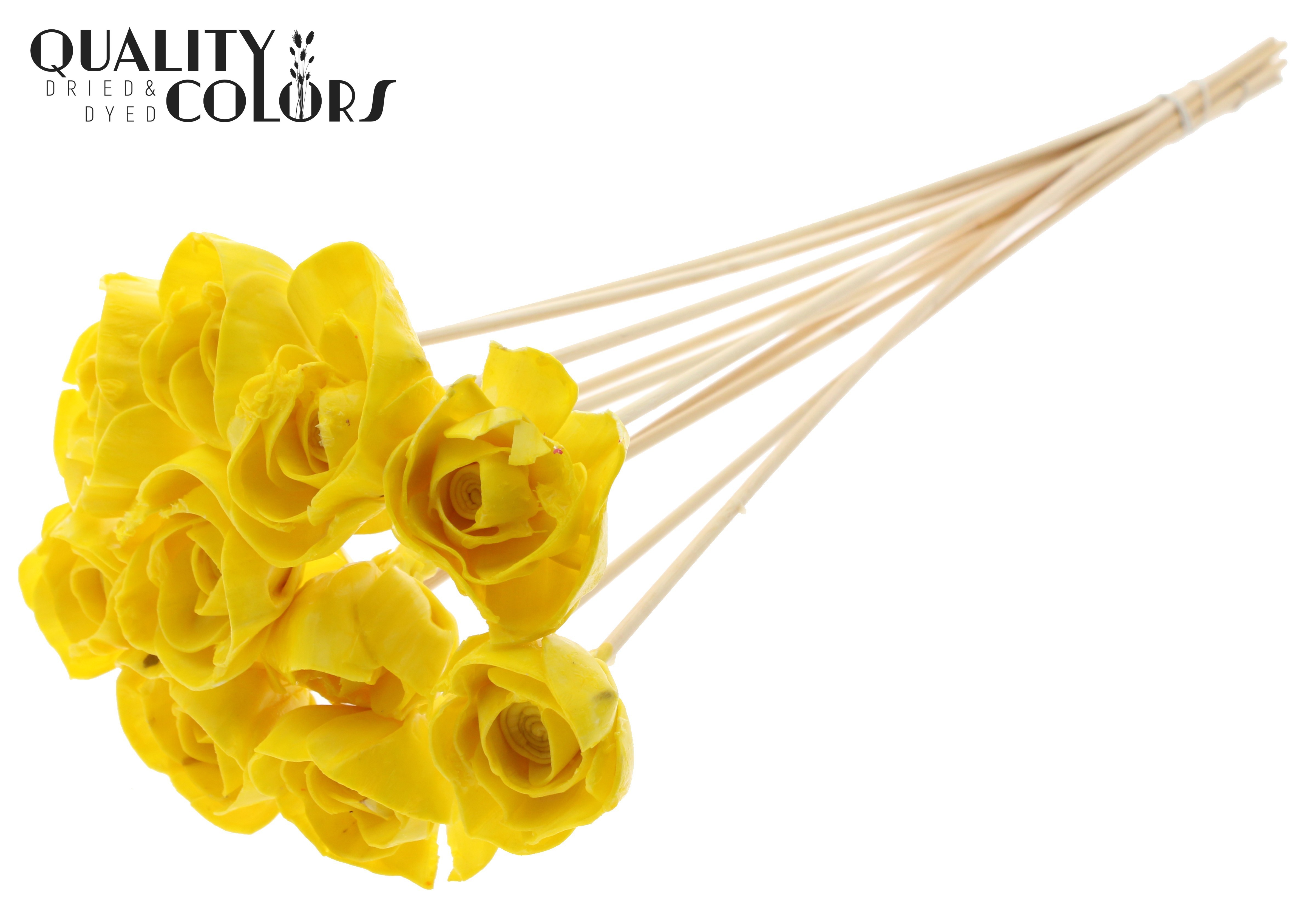 Shola Dear Holly Wax Yellow 50cm