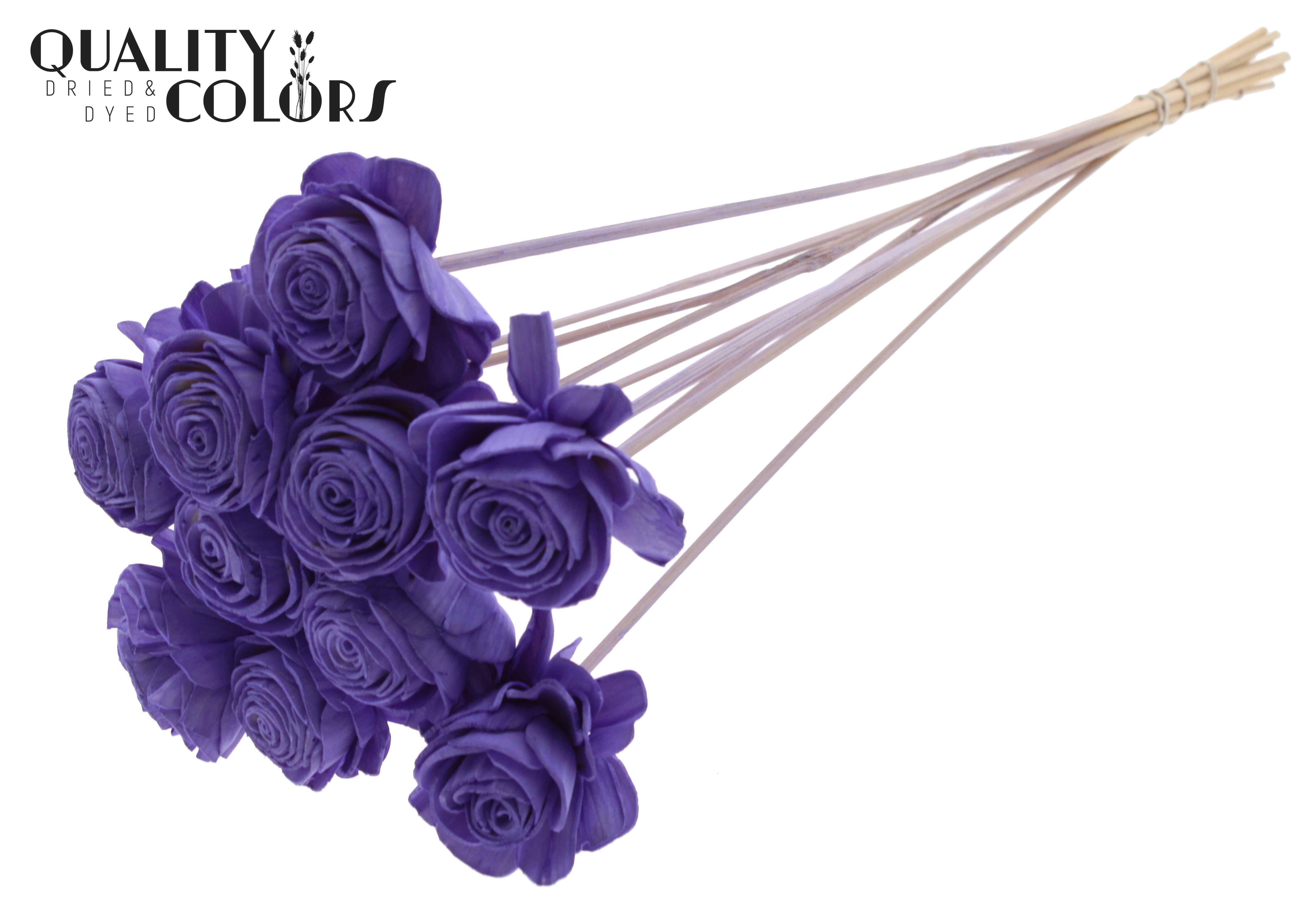 Shola Beauty Rose Milka 50cm