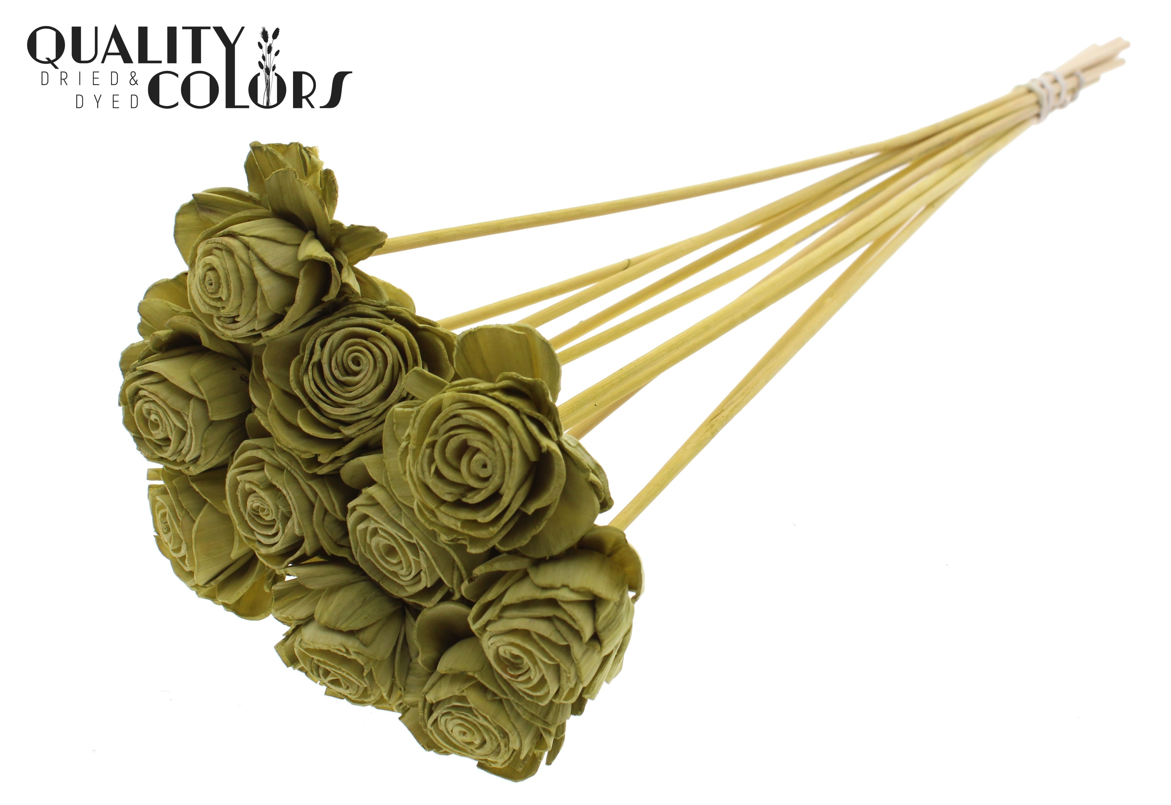 Shola Beauty Rose Olive 50cm