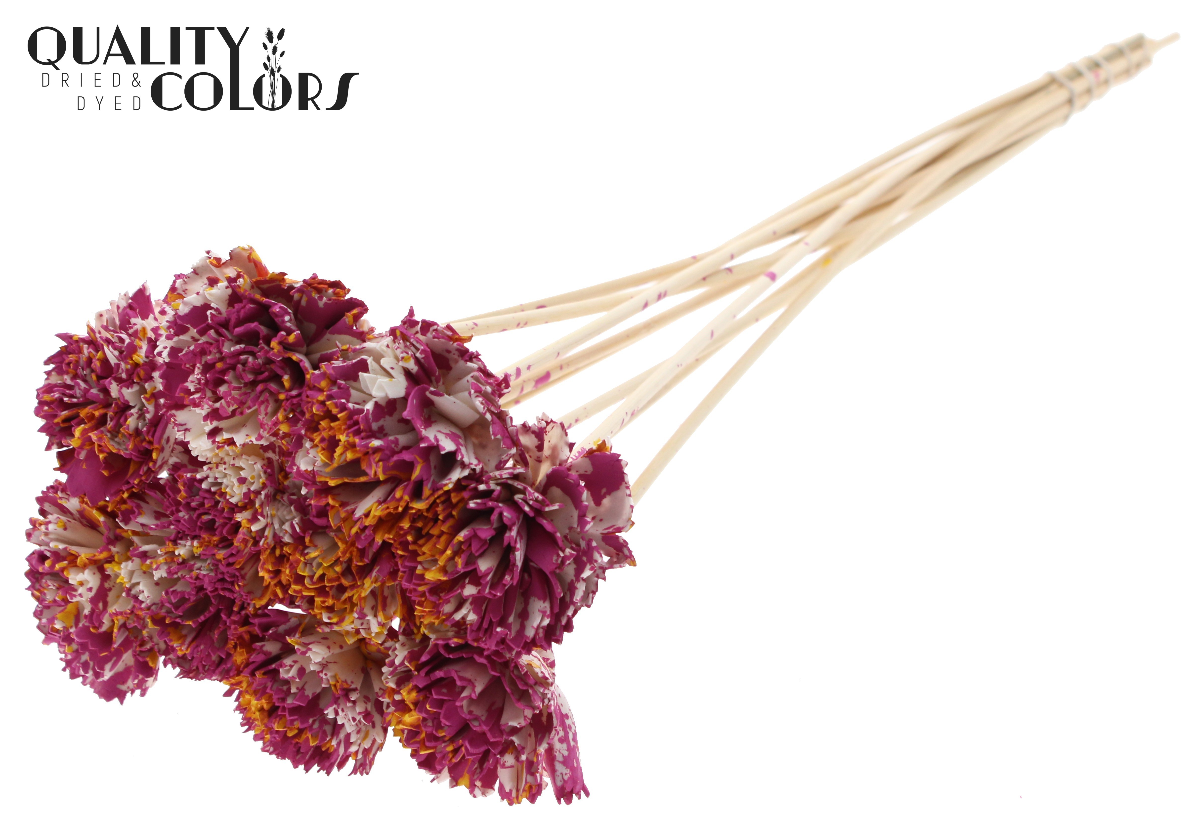 Shola Karnish Flower Multicolour Cerise Yellow 50cm