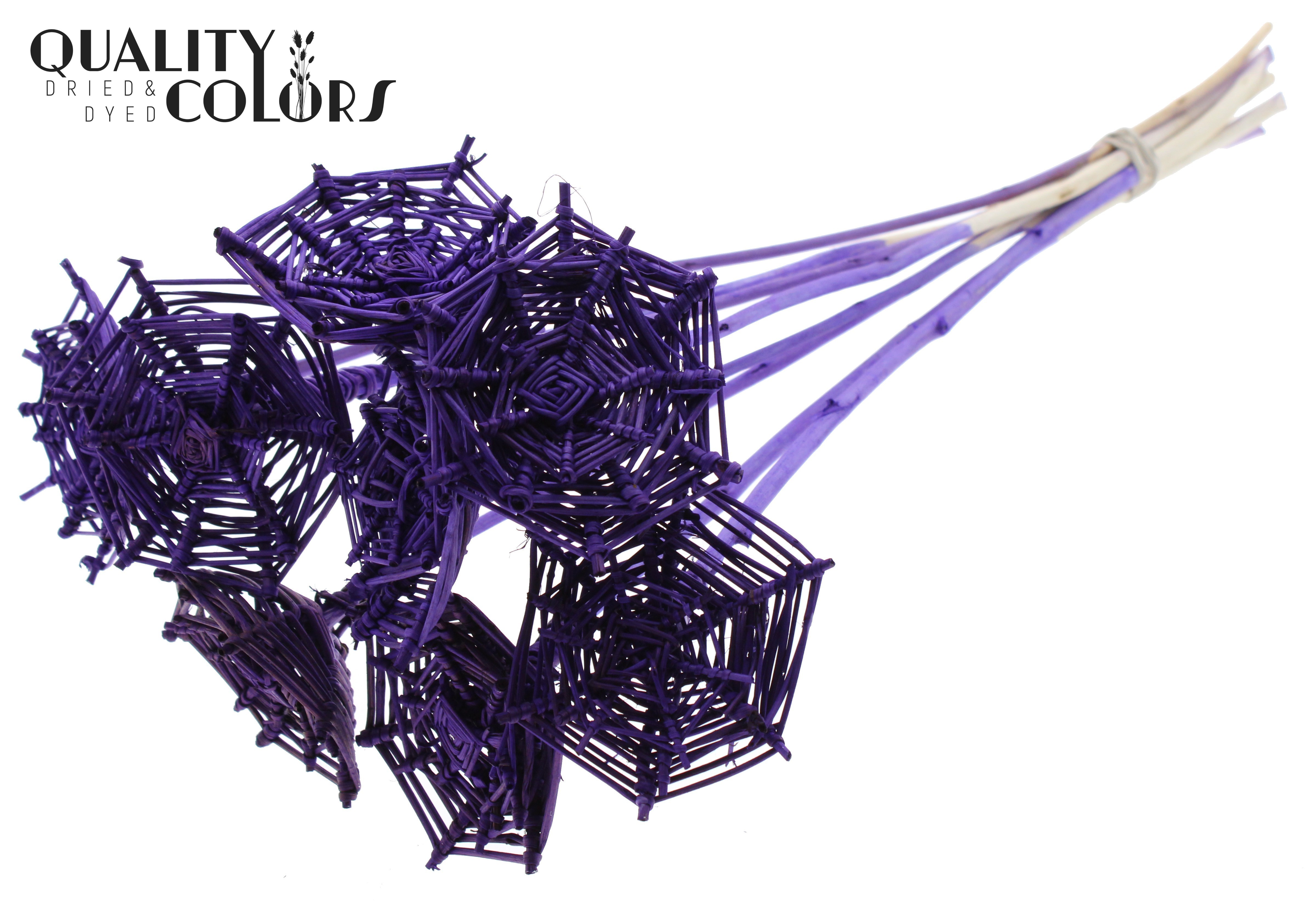 Lata Spiderweb Purple 50cm