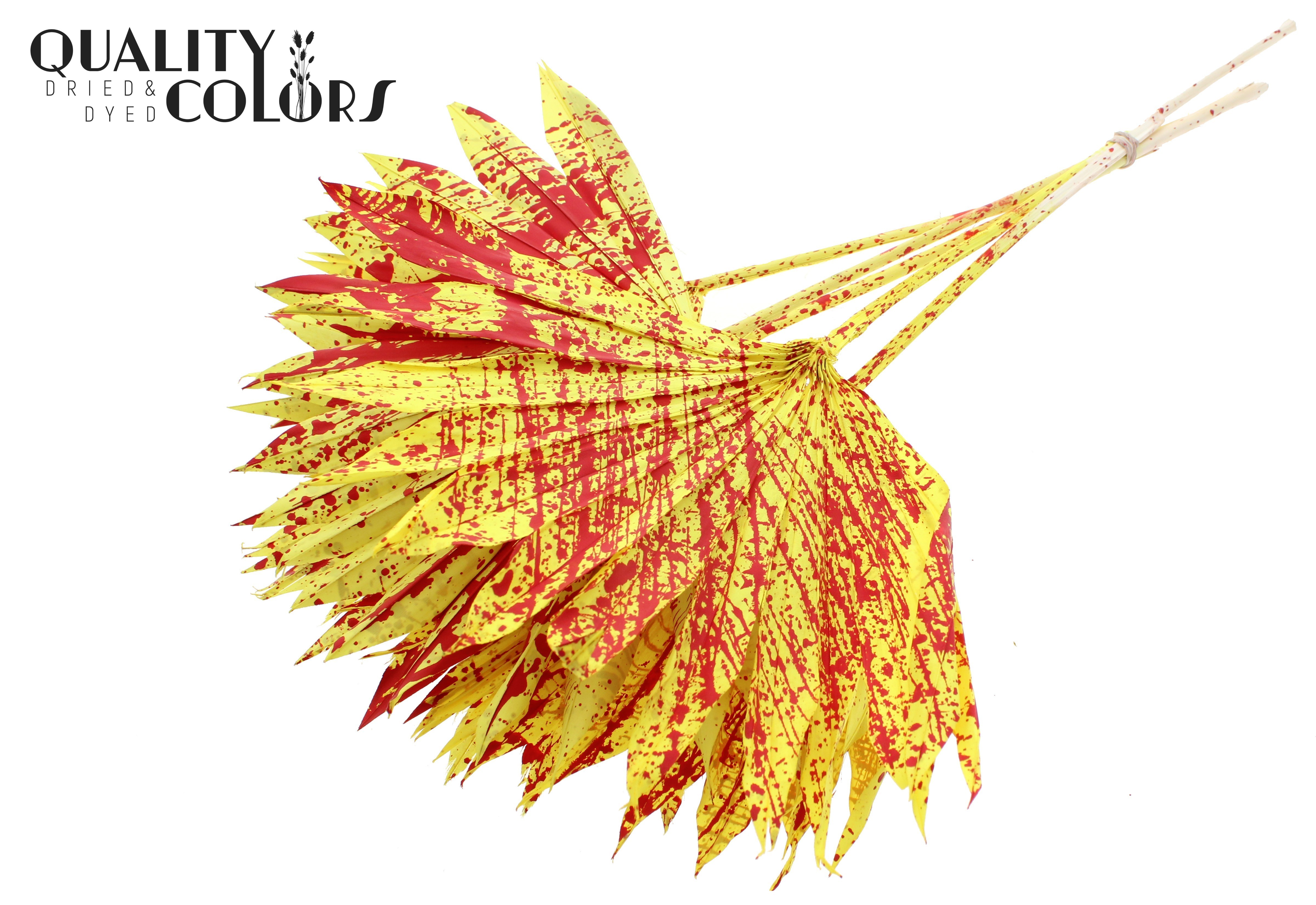 Palm Sun Splashed Yellow Red 50cm