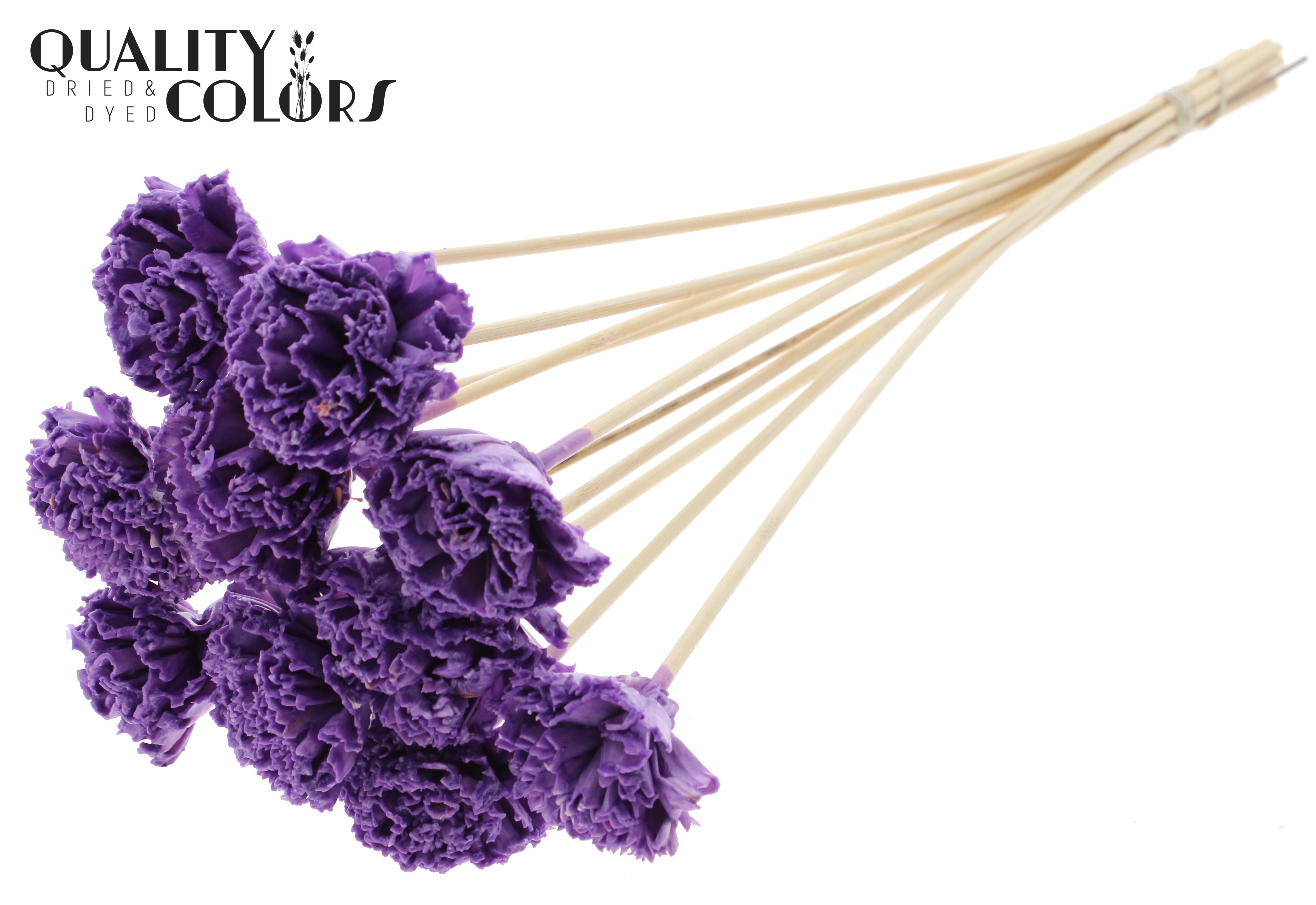 Shola Karnish Flower Wax Milka 50cm