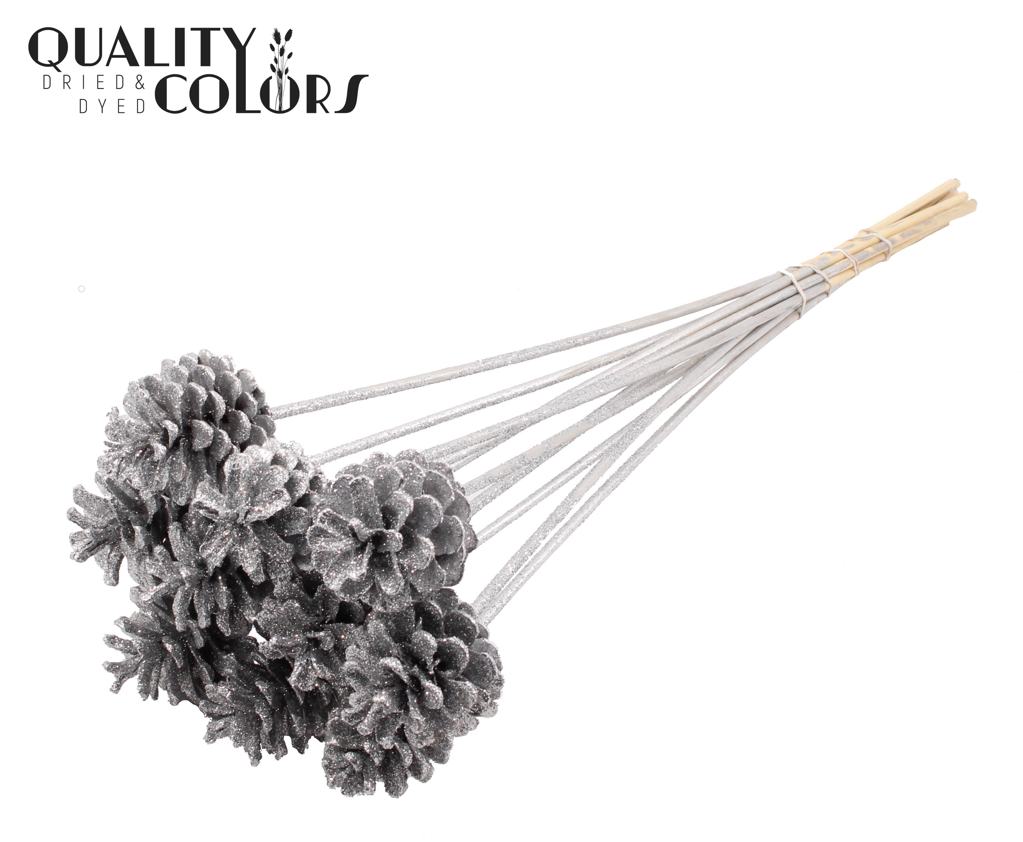 Pine Cone Silver + Glitter 50cm