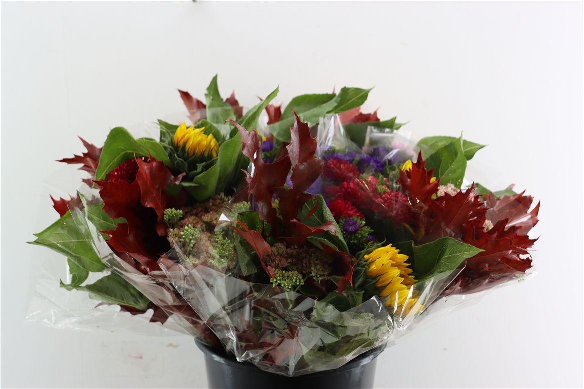 Bqt Autumn Mix