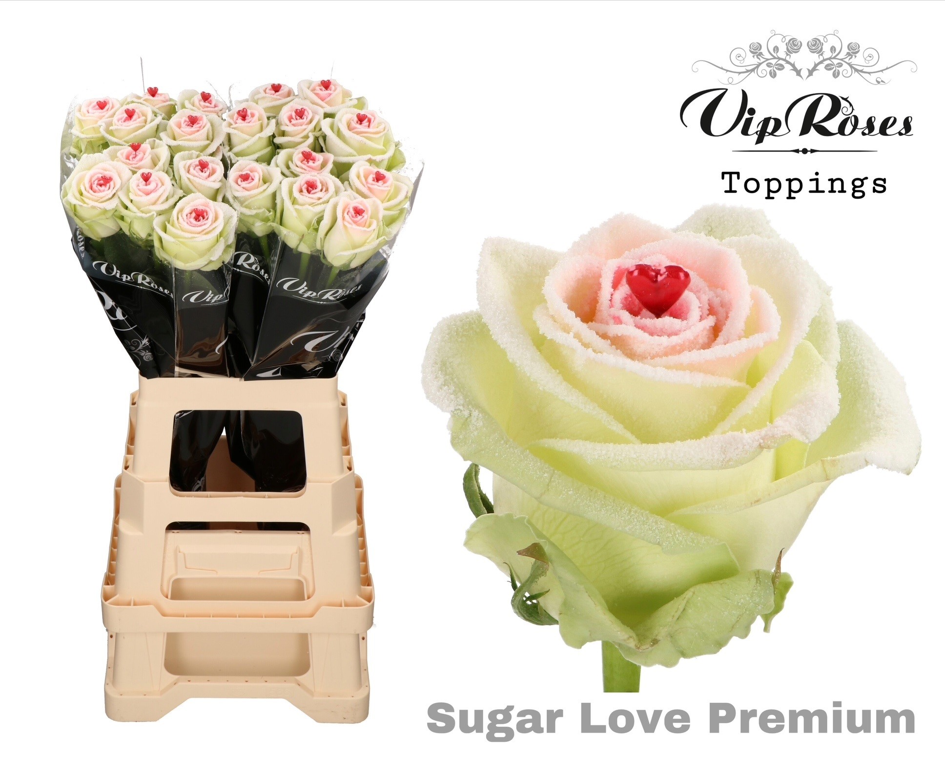 R Gr Sugar Love Premium X20